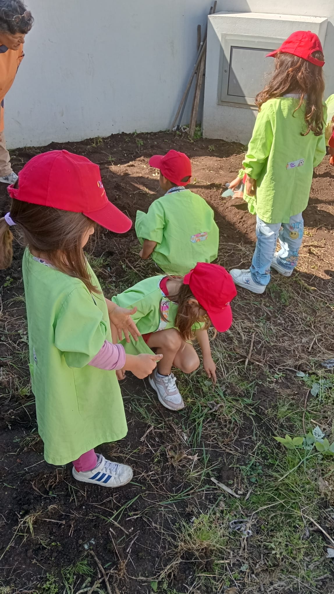 Retirar ervas - As que não tinham sementes foram colocadas dentro de um pneu para secarem e depois serem  acrescentada ao compostor.