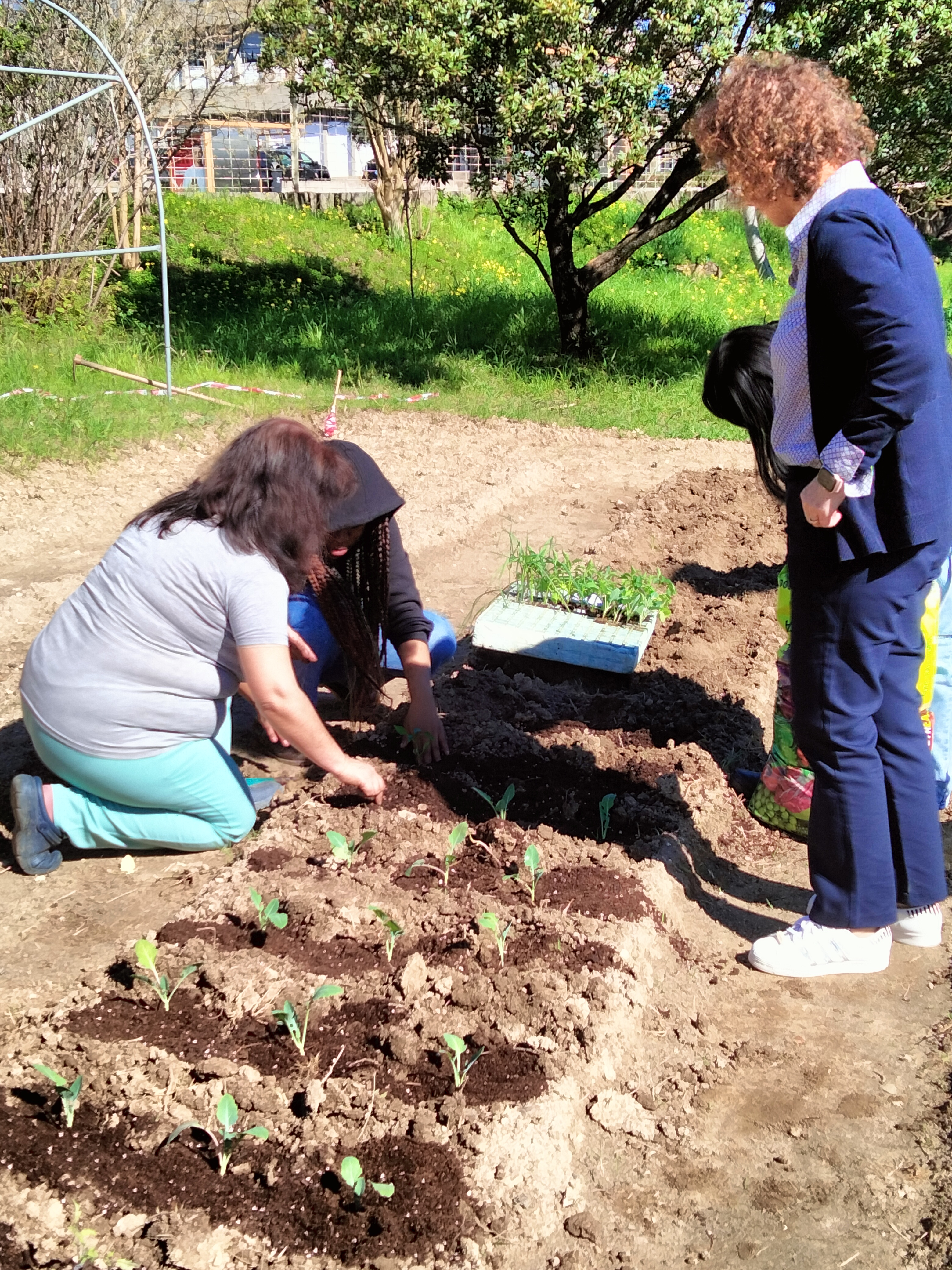 Plantação da horta por alunas do Centro de Apoio à Aprendizagem, em março.