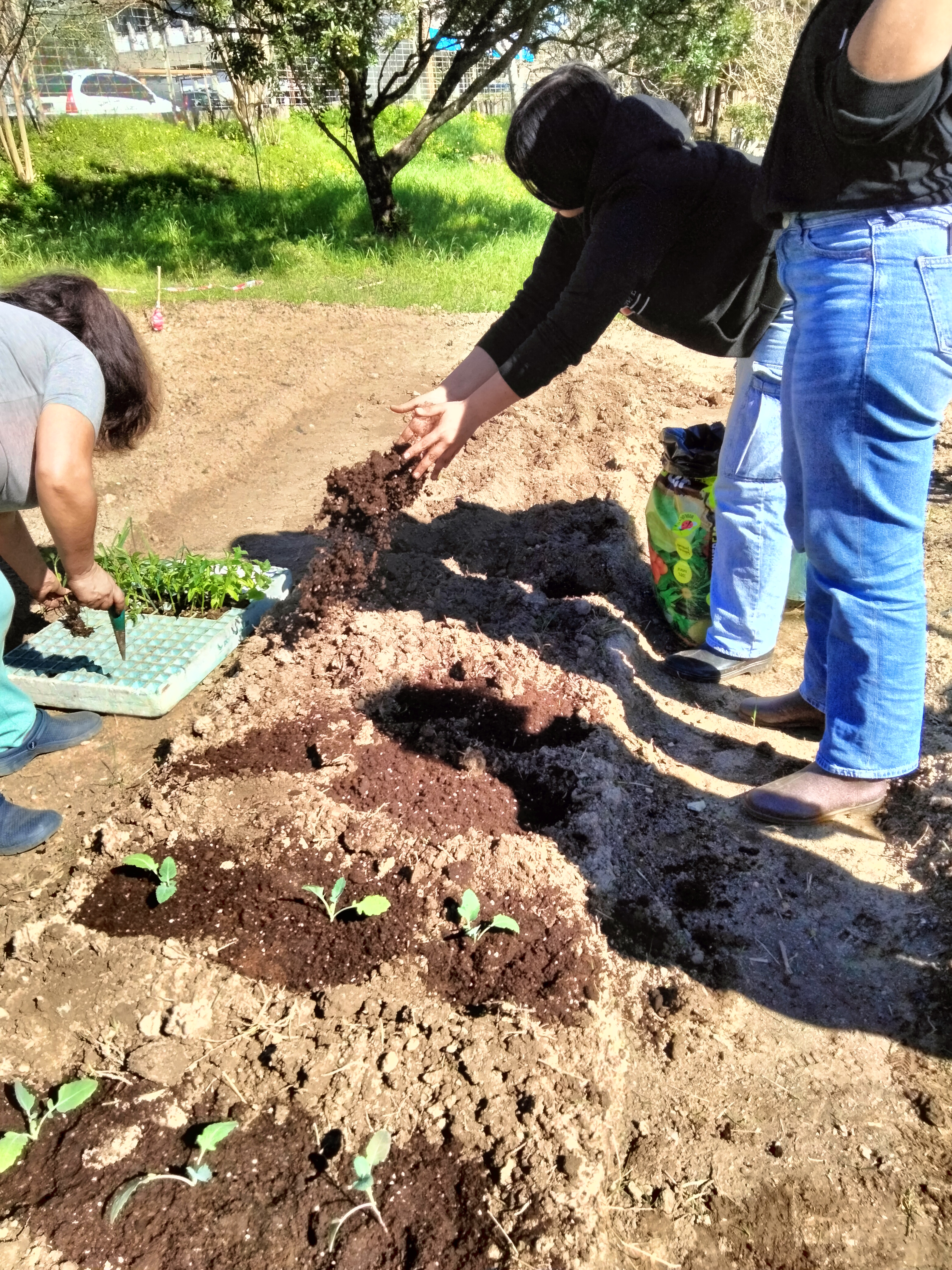 Plantação da horta por alunas do Centro de Apoio à Aprendizagem, em março