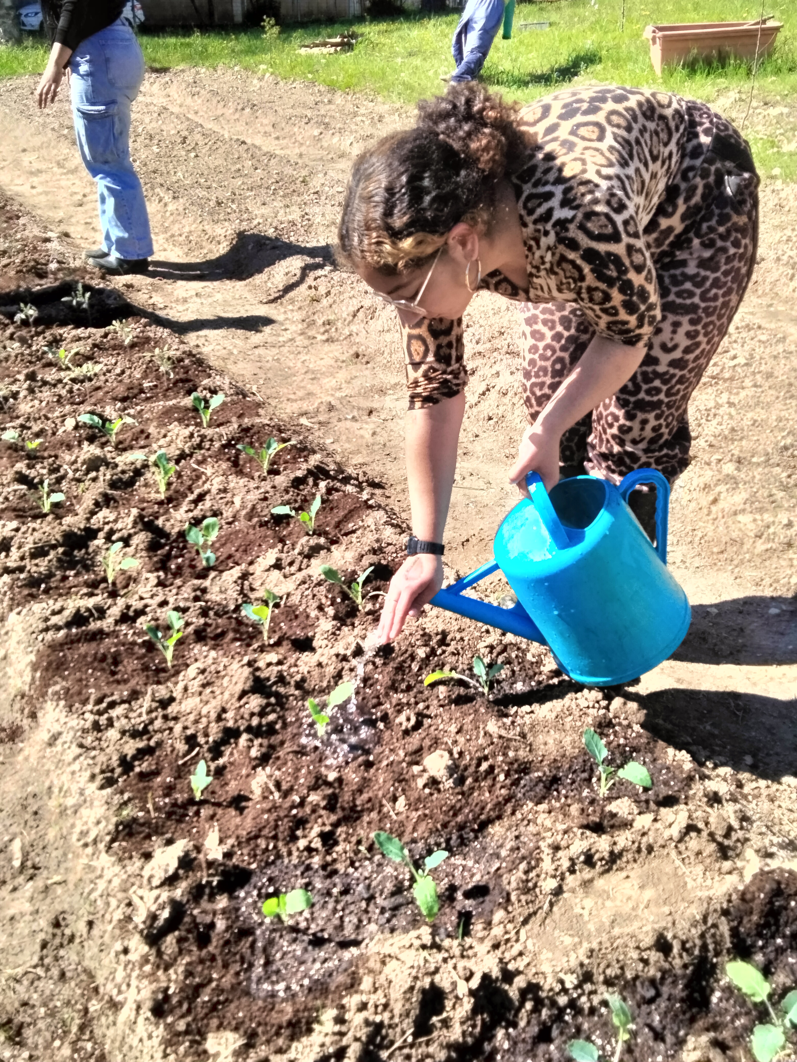 Rega após plantação, por aluna do Centro de Apoio à aprendizagem.
