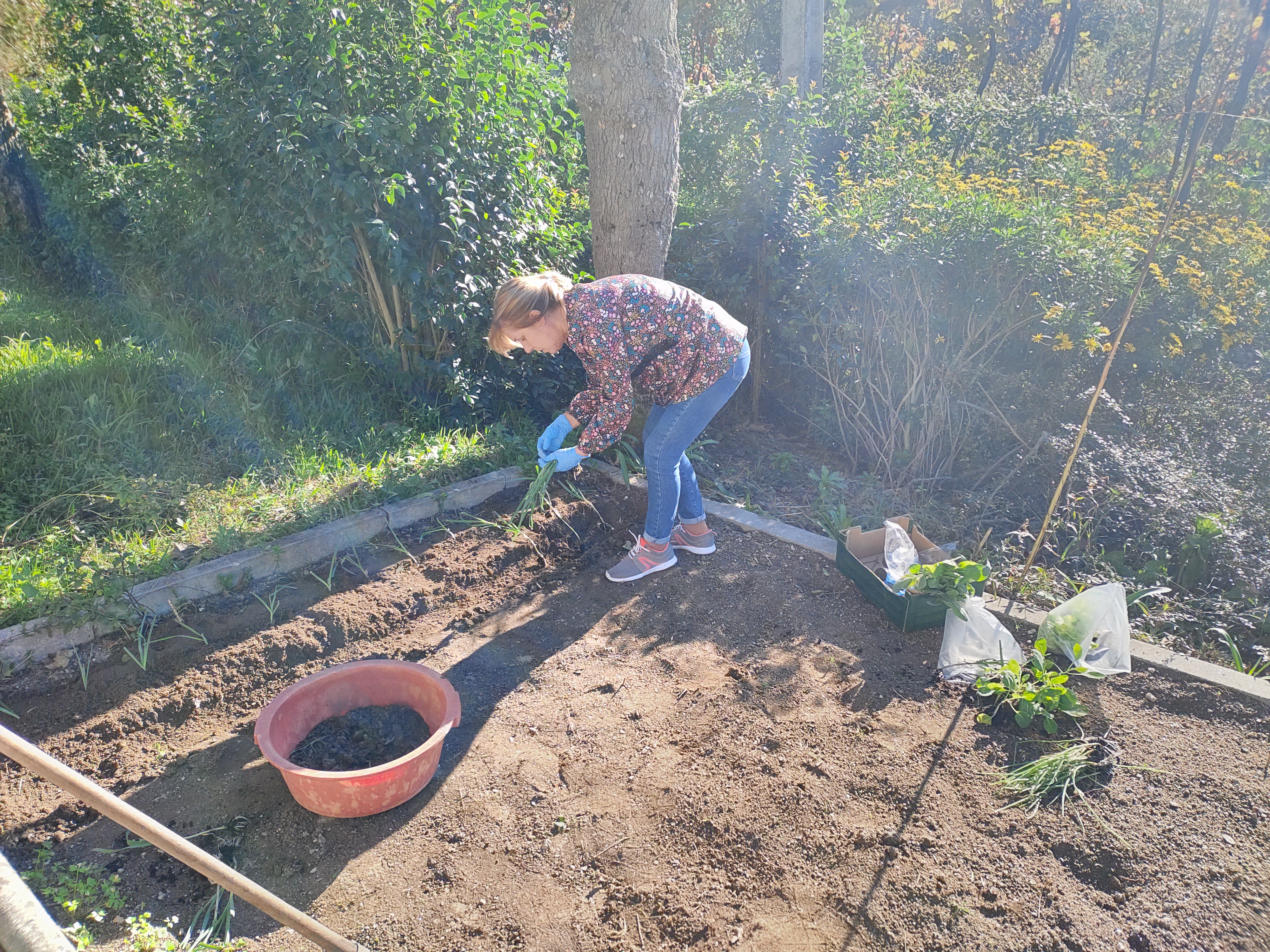 Compostagem da horta.