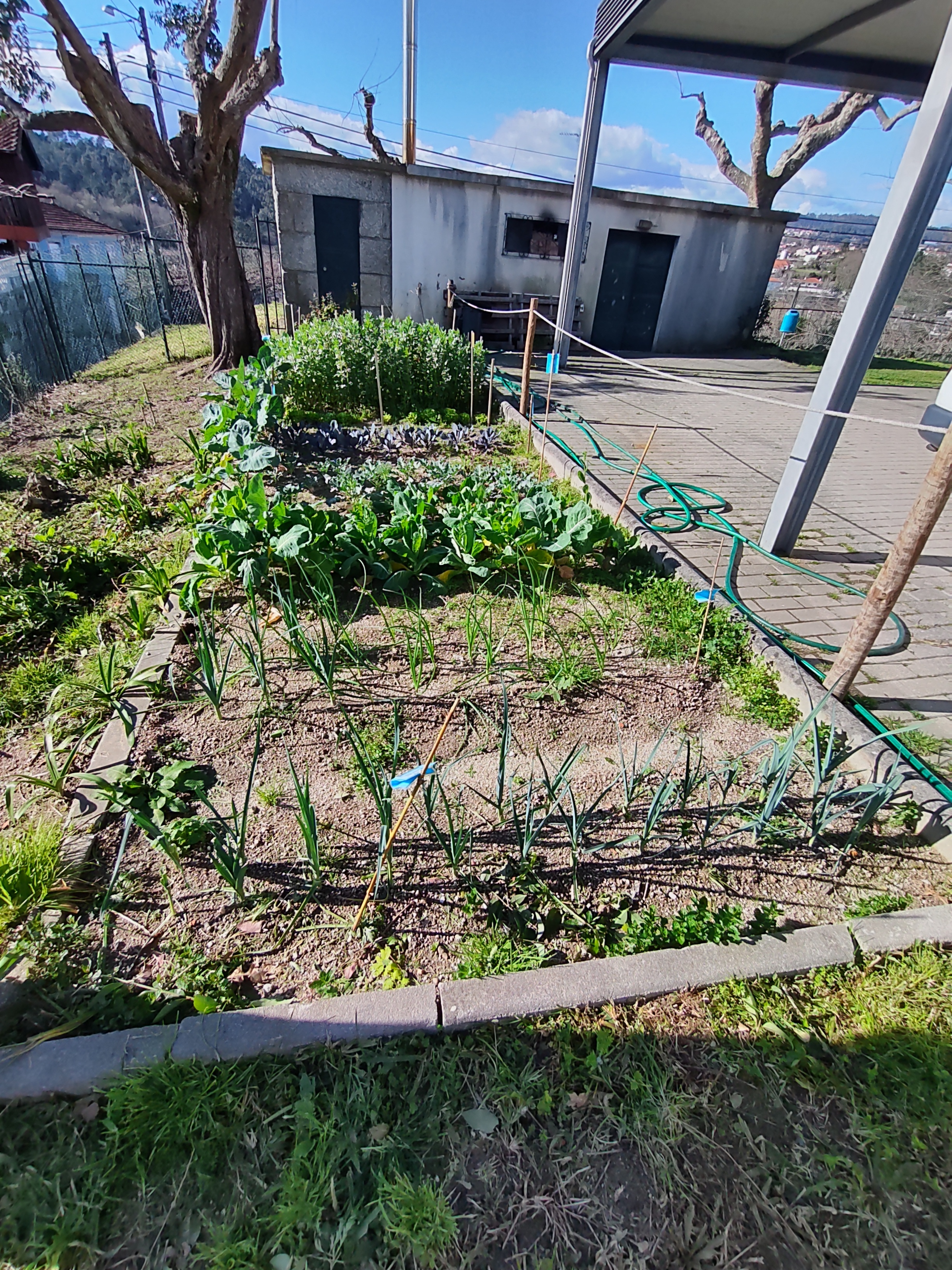 Vista geral da nossa horta Bio em março.