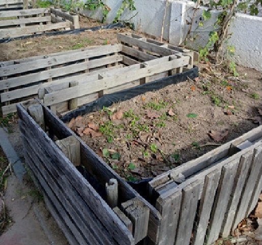 2. Limpeza da horta