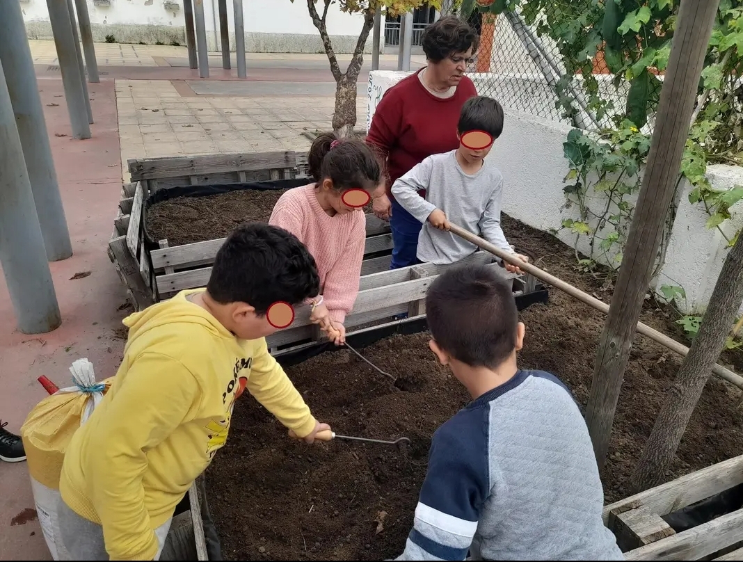 3. Sementeira das favas