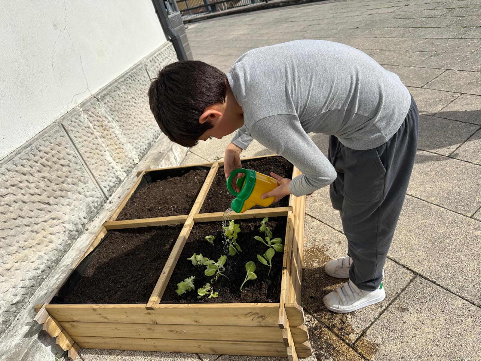 Nesta fase os alunos já cuidavam da sua horta.