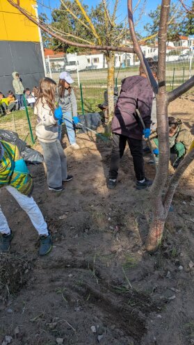 Preparação do terreno pelos alunos do 3.º ano