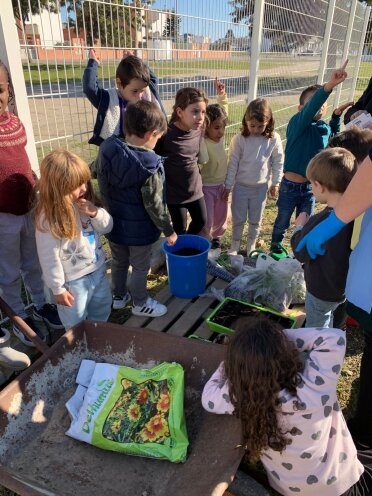 Plantação de legumes diversos pelas crianças do pré escolar.