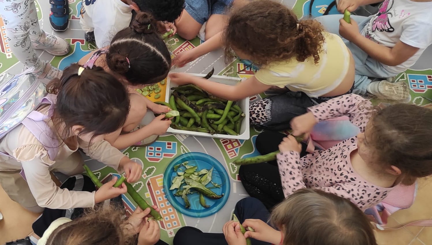 Os alunos do pré-escolar a descascar as favas, um momento de muita alegria e descoberta.