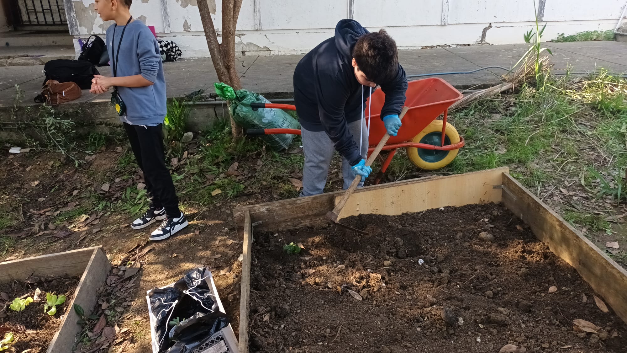 Preparação de terreno
