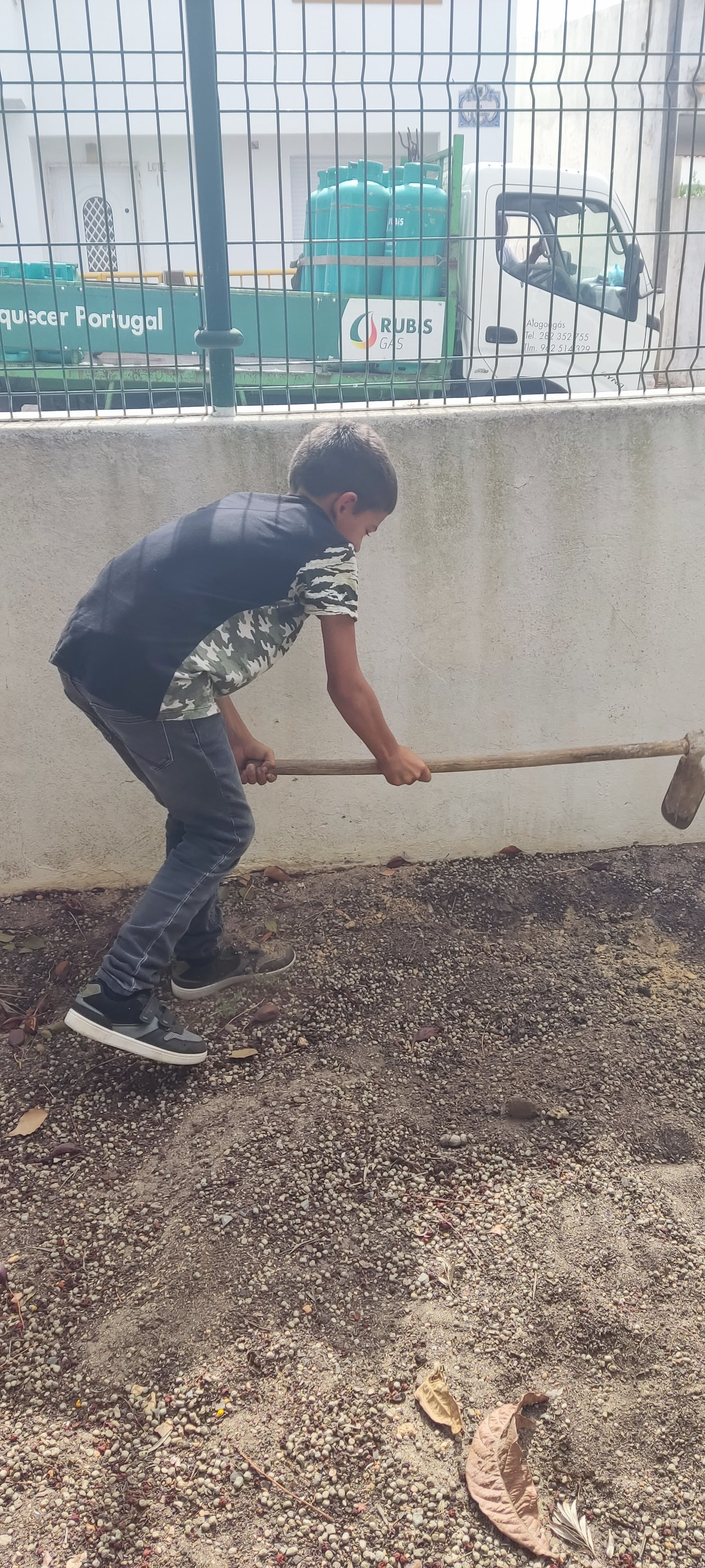 Tratamos o terreno da horta
