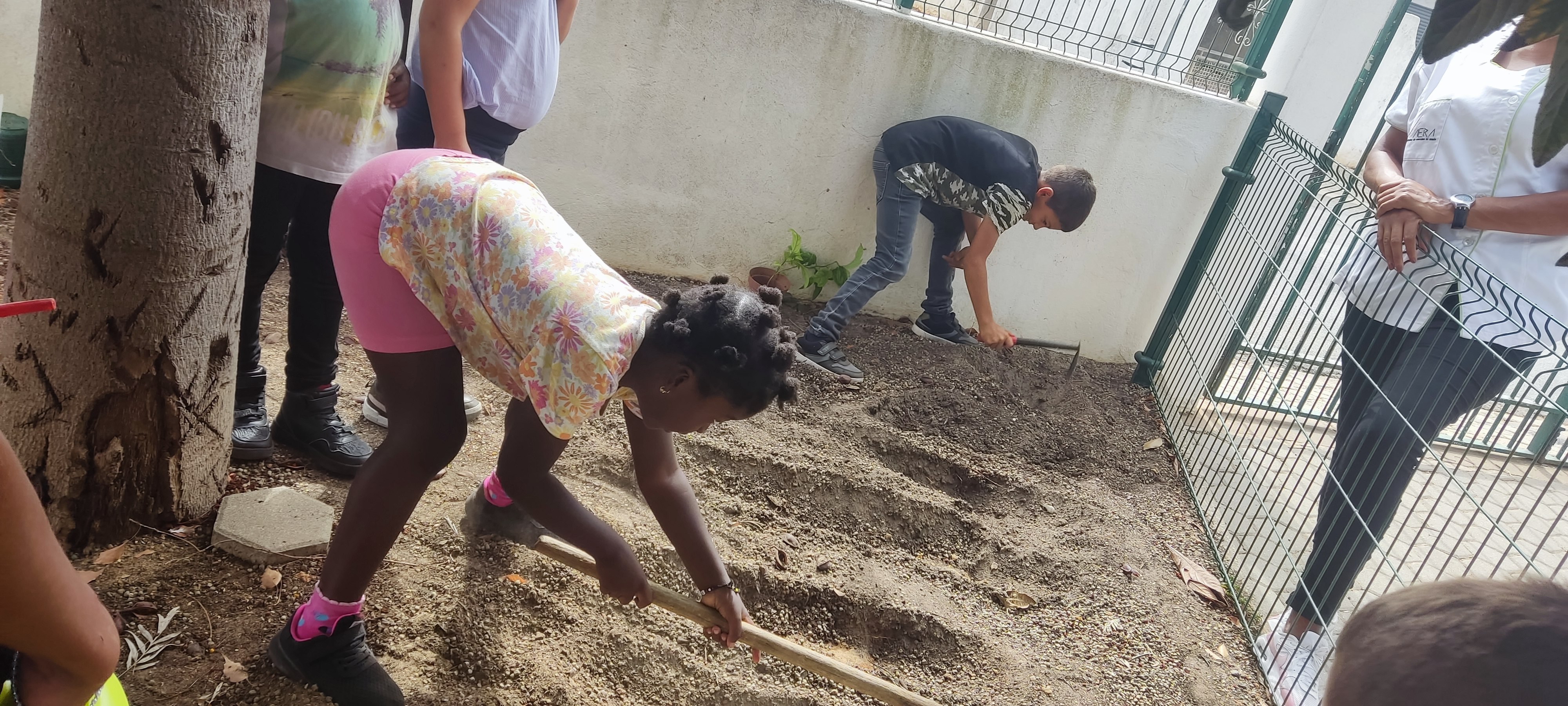 Preparamos a terra da horta