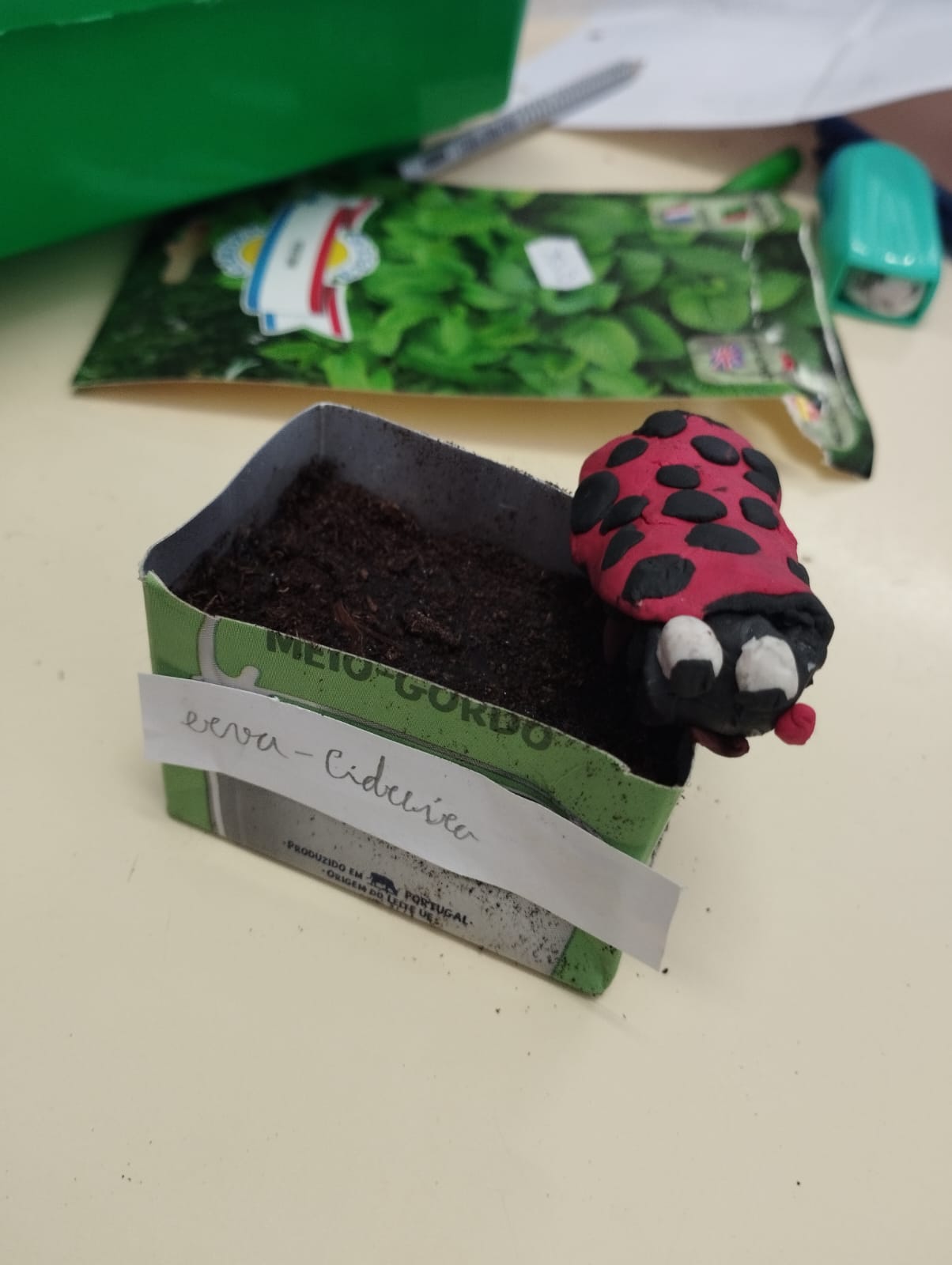 Germinação de ervas aromáticas em pequena estufa