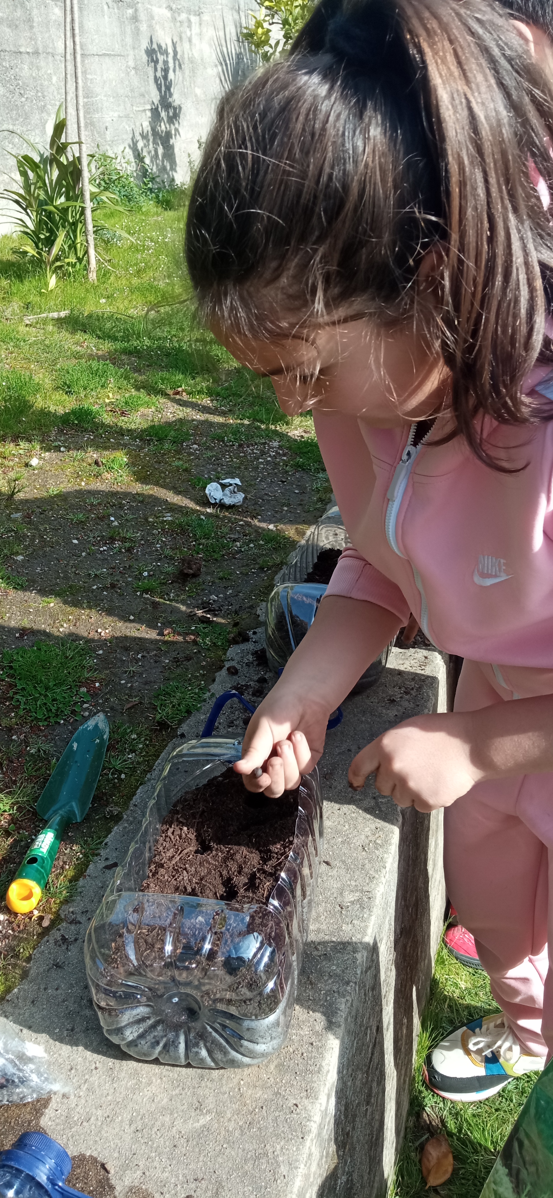 Alunos a colocar sementes nos garrafões