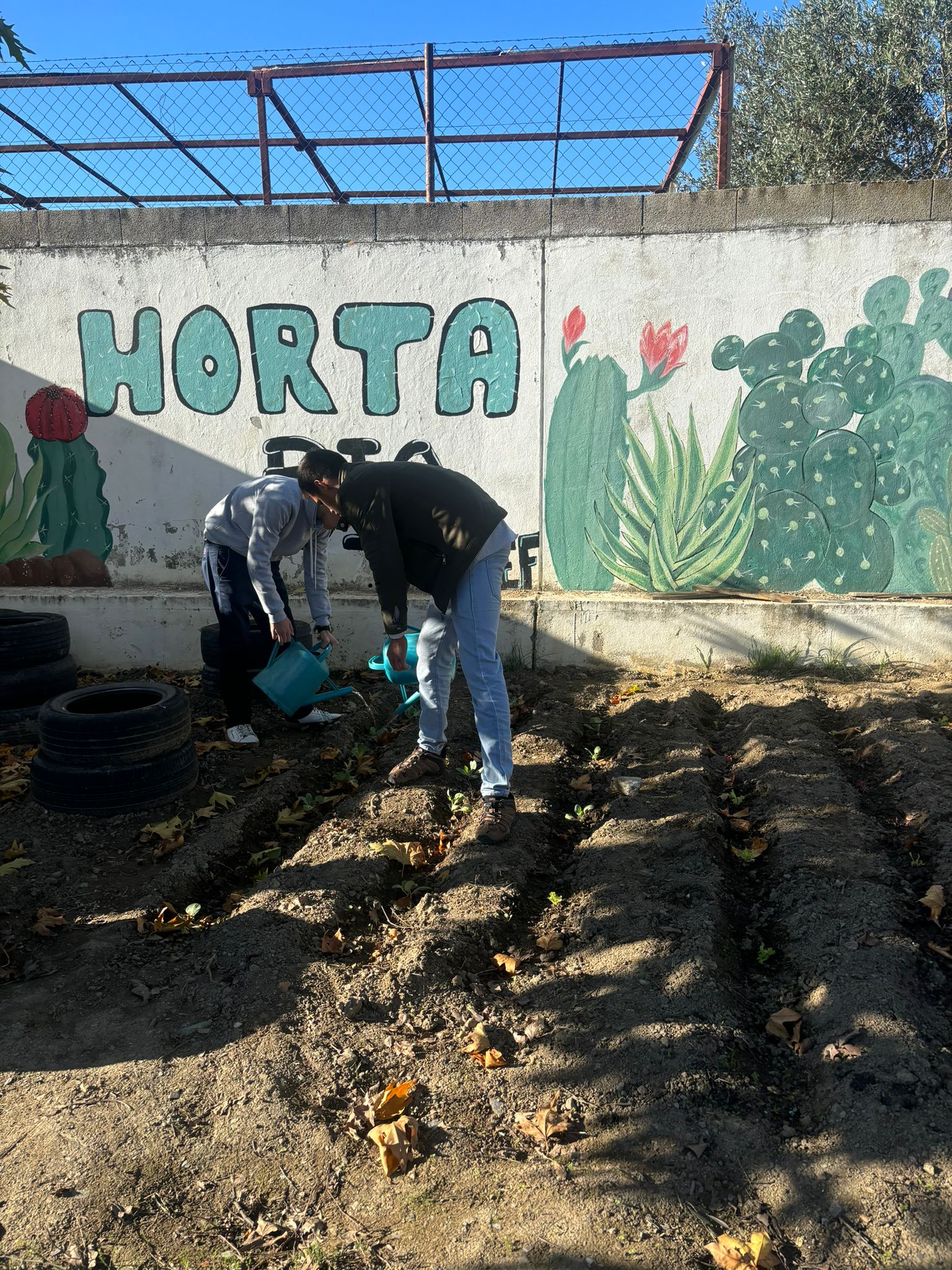 Rega da Horta