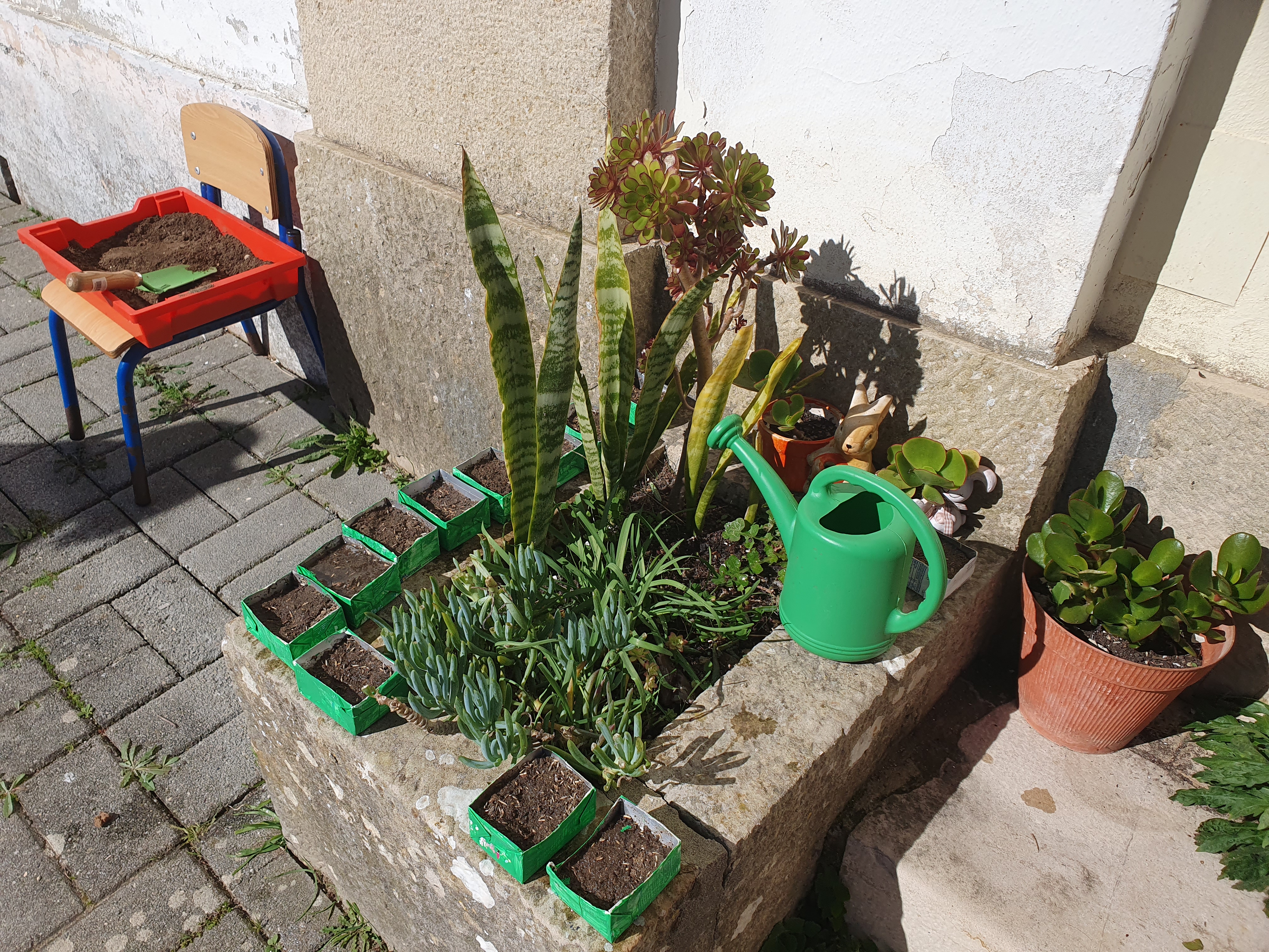 Energia solar para o crescimento das plantas