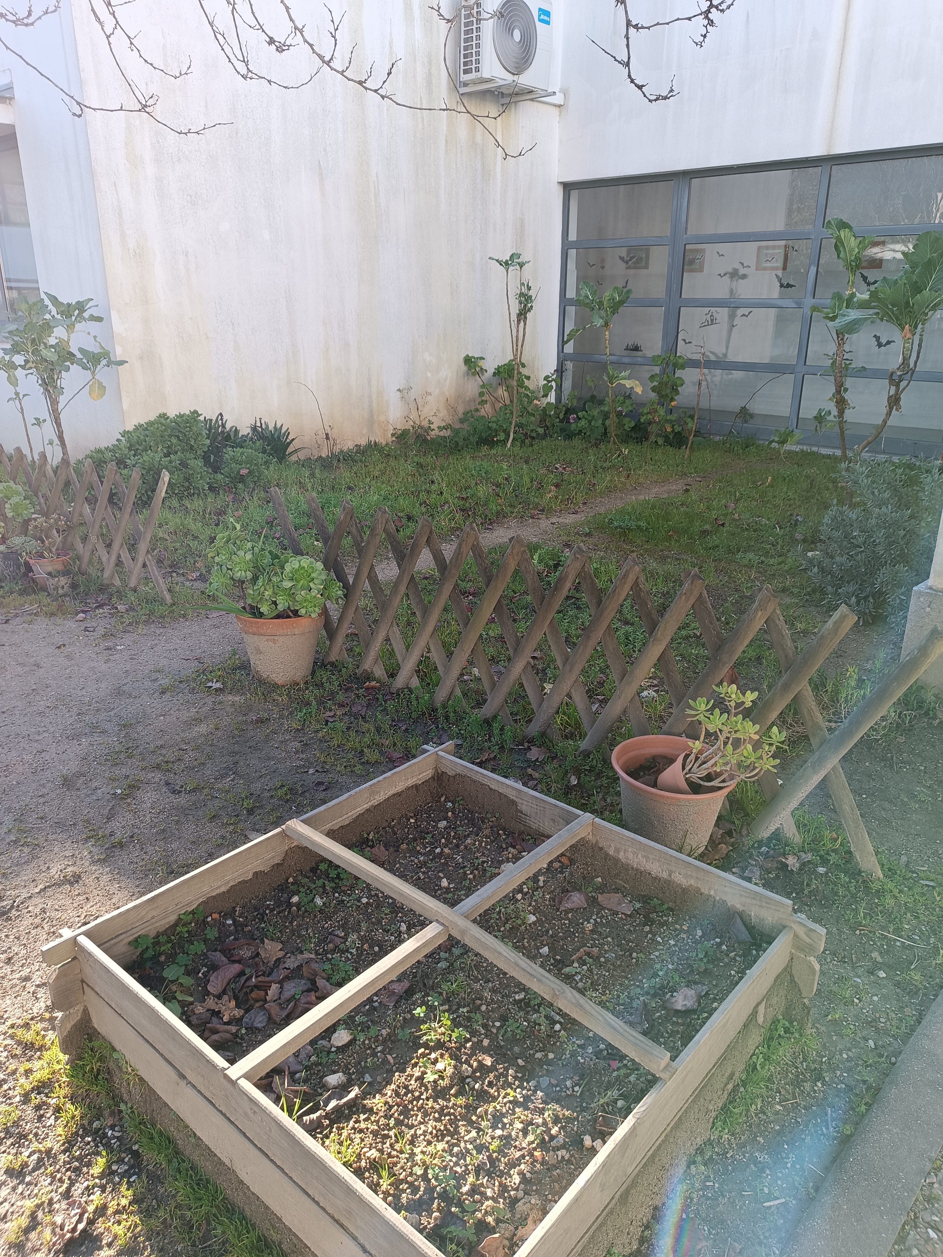 Área de cultivo comum 1