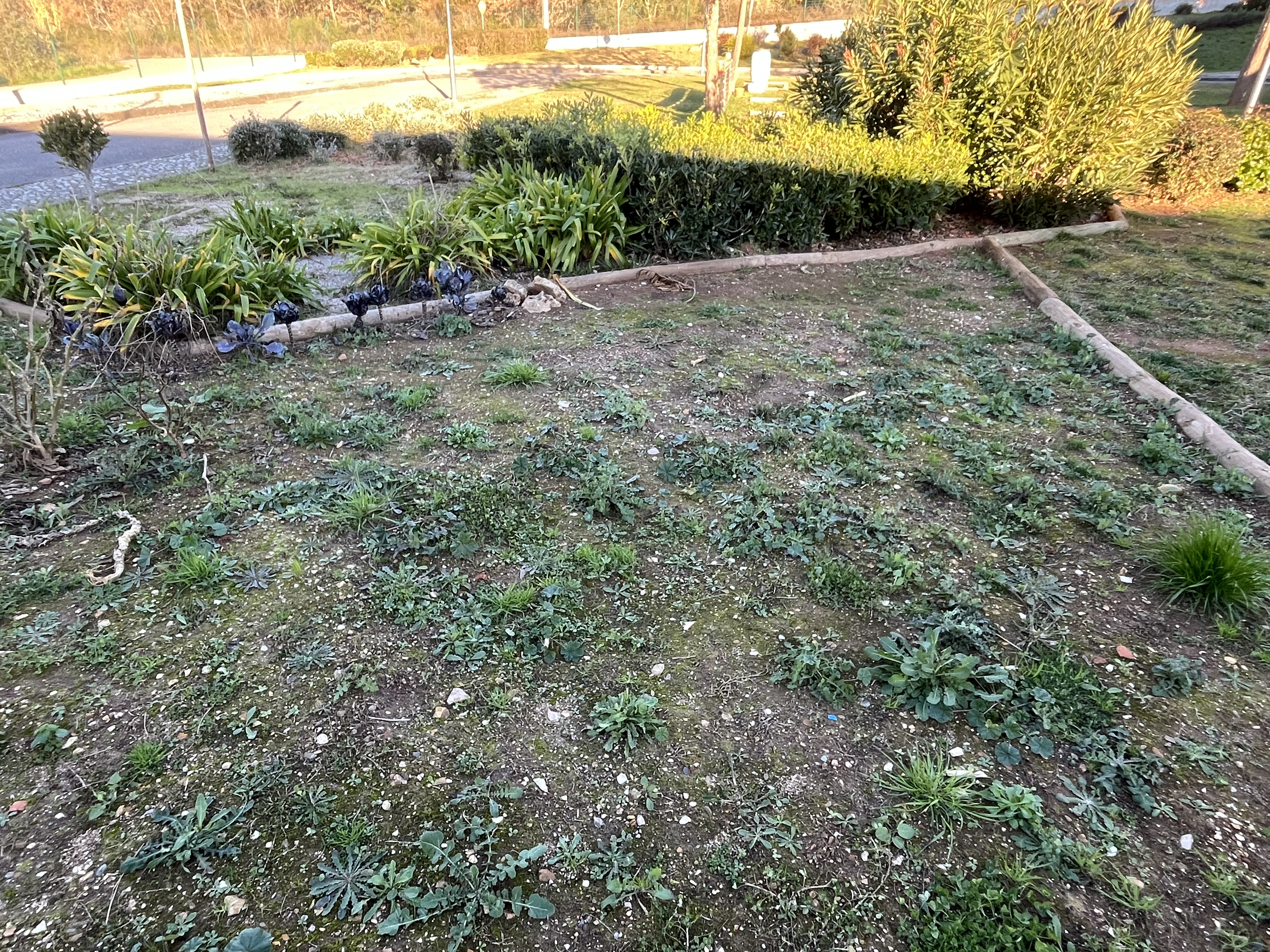 Campo da horta por preparar