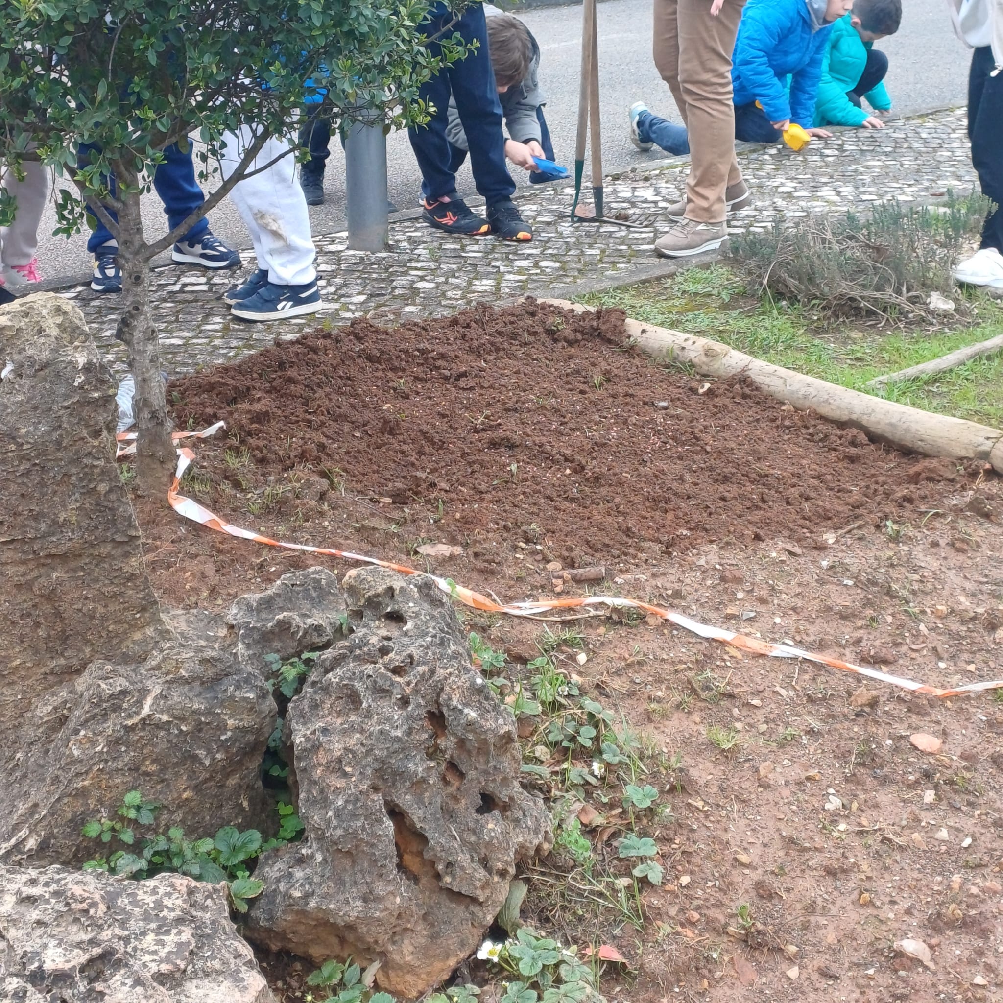 Preparação do terreno