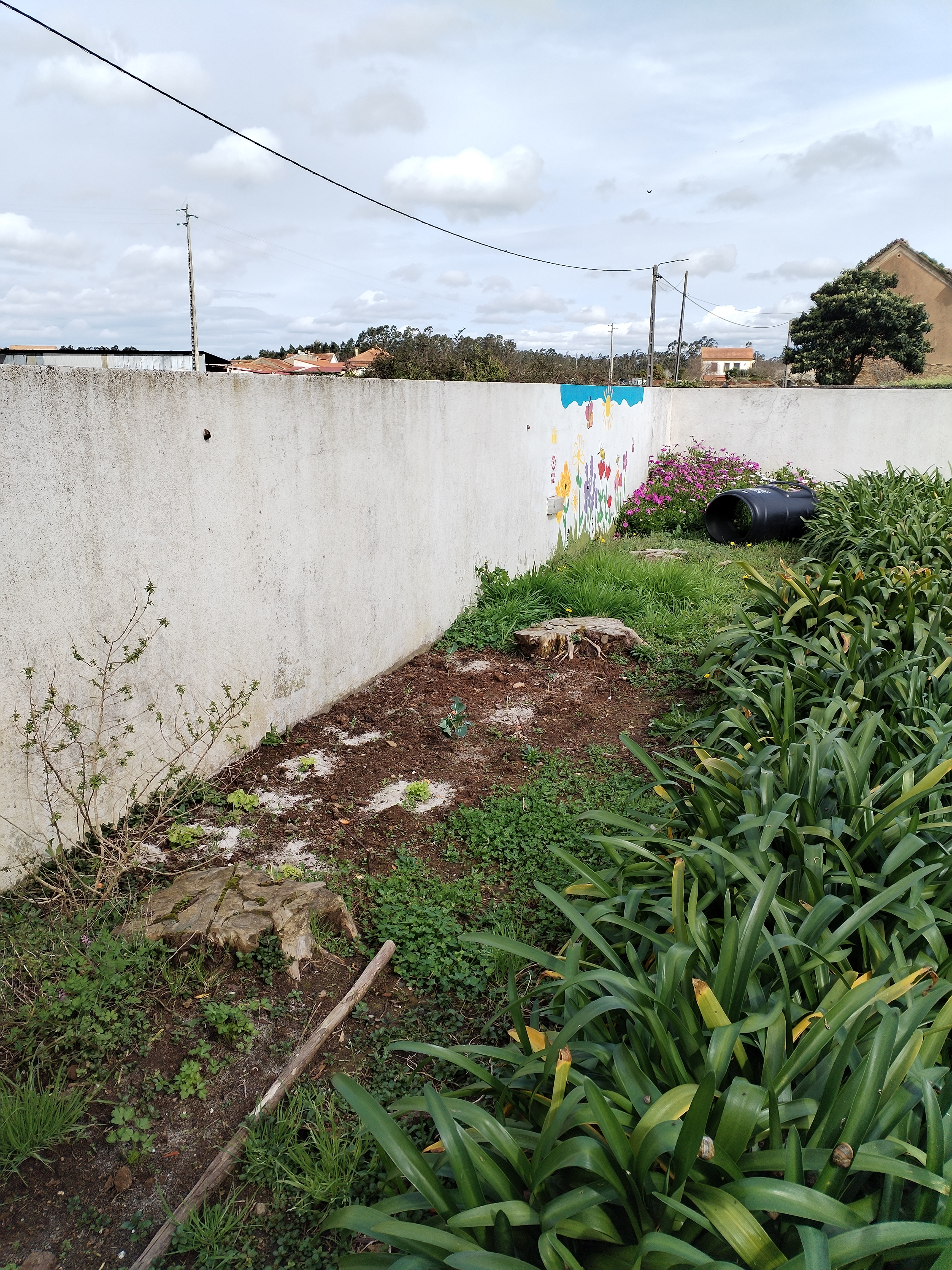 A horta ainda não estava limpa