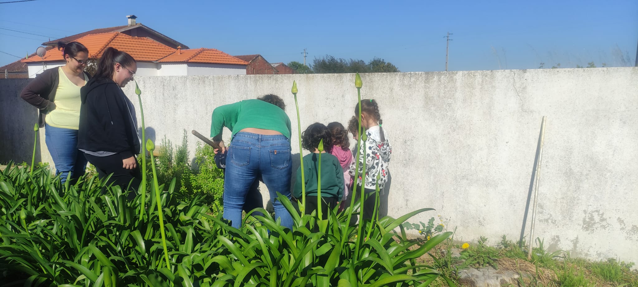 Manutenção da limpeza do espaço da horta