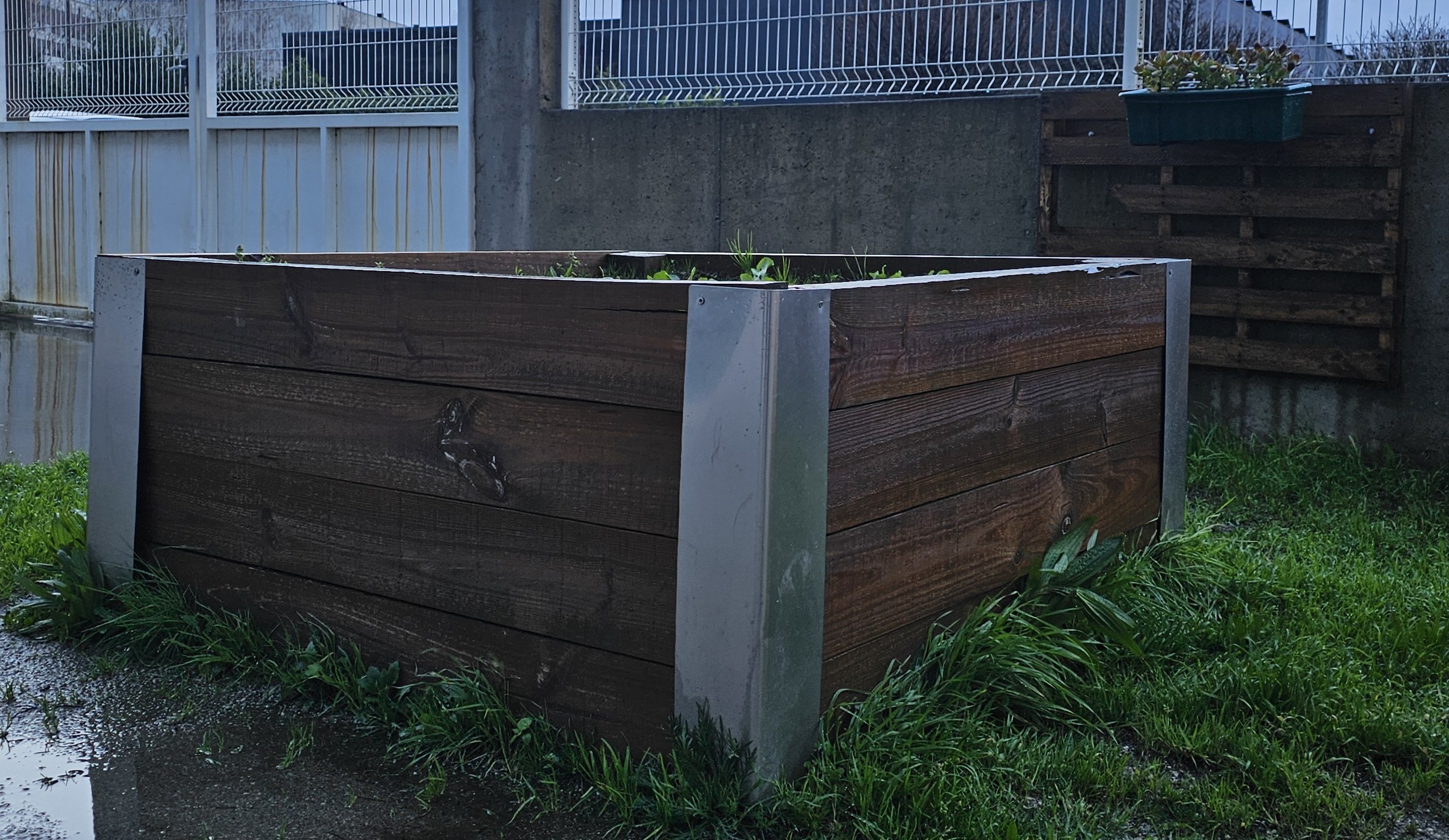Esta imagem mostra uma das seis caixas de plantio que formam a horta da nossa escola. Estas caixas foram construídas pela Associação de Pais.