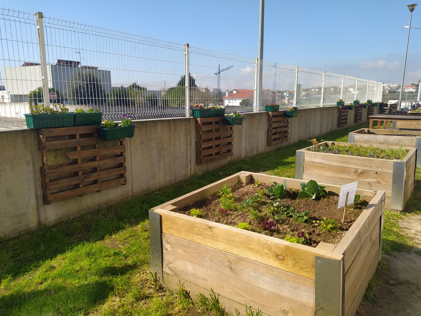 Esta configuração aproveita o espaço de maneira eficiente para práticas de agricultura biológica urbana, promovendo sustentabilidade e um estilo de vida mais verde.