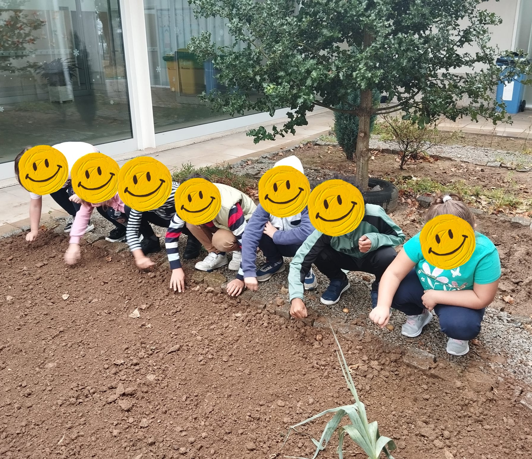 Com os nossos alunos, ajudar a preparar a terra para em breve receber novas sementes.