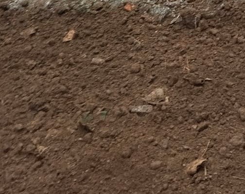 O descanso da terra