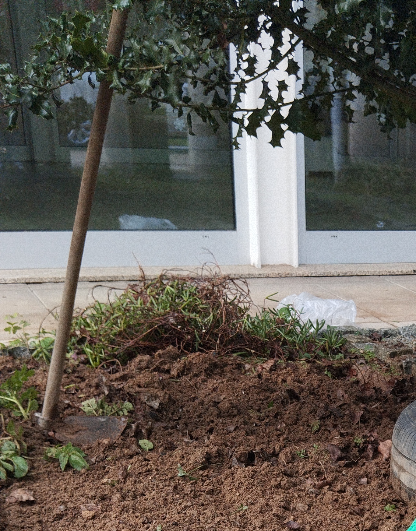 A cavar a terra para a preparar para receber novas sementeiras.