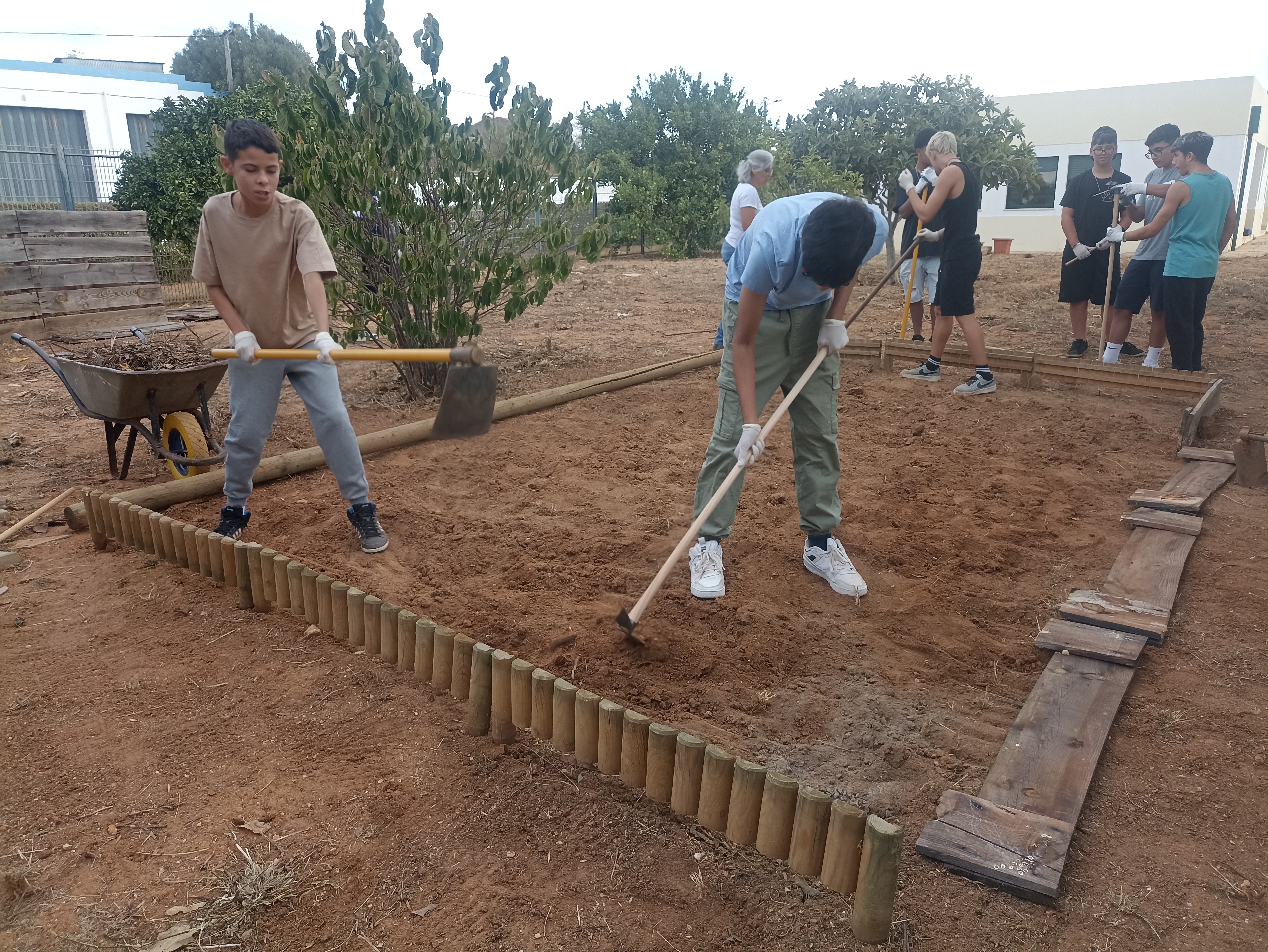 Preparação do terreno, por parte dos alunos