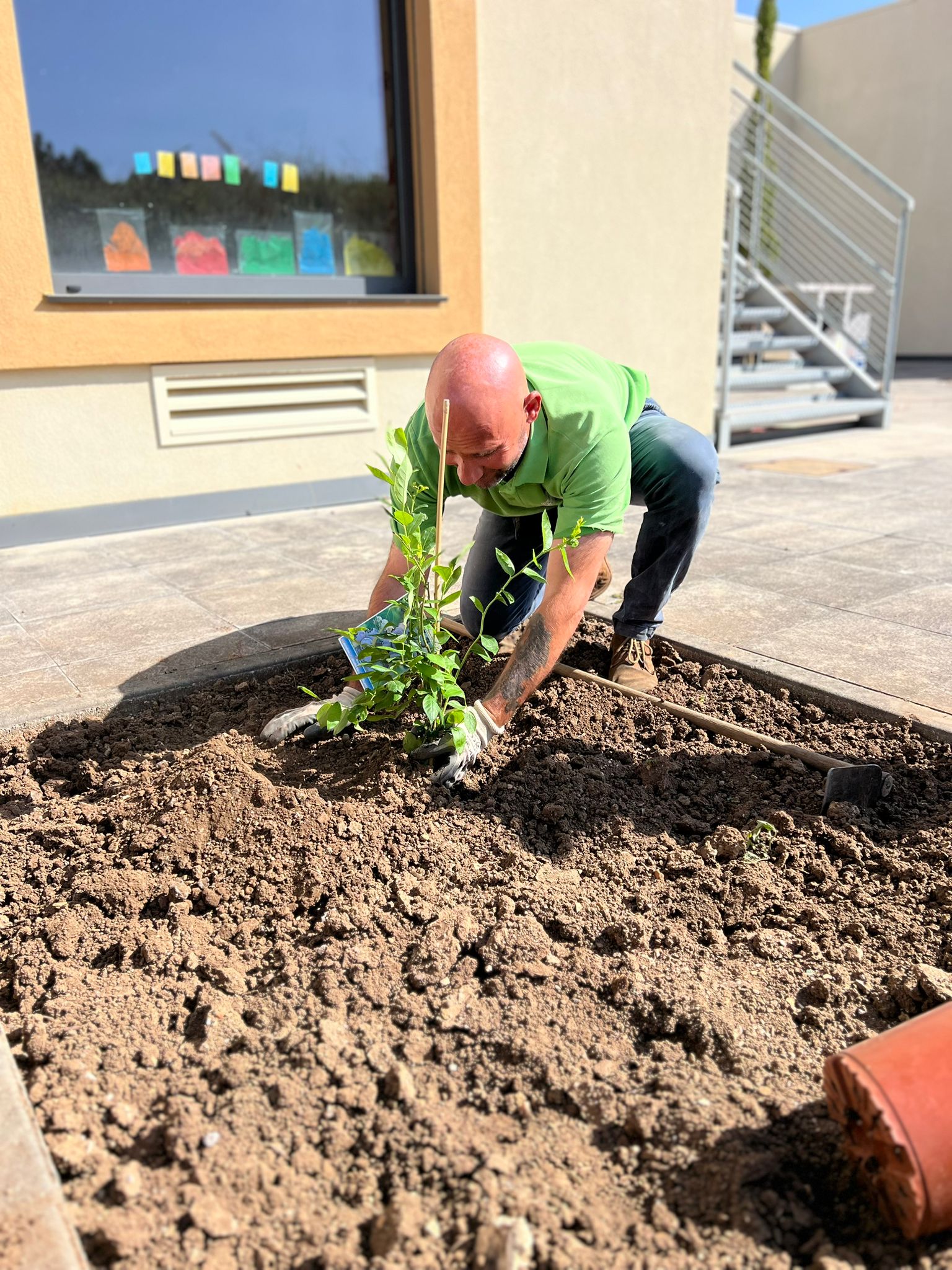 Desenvolvimento das plantas