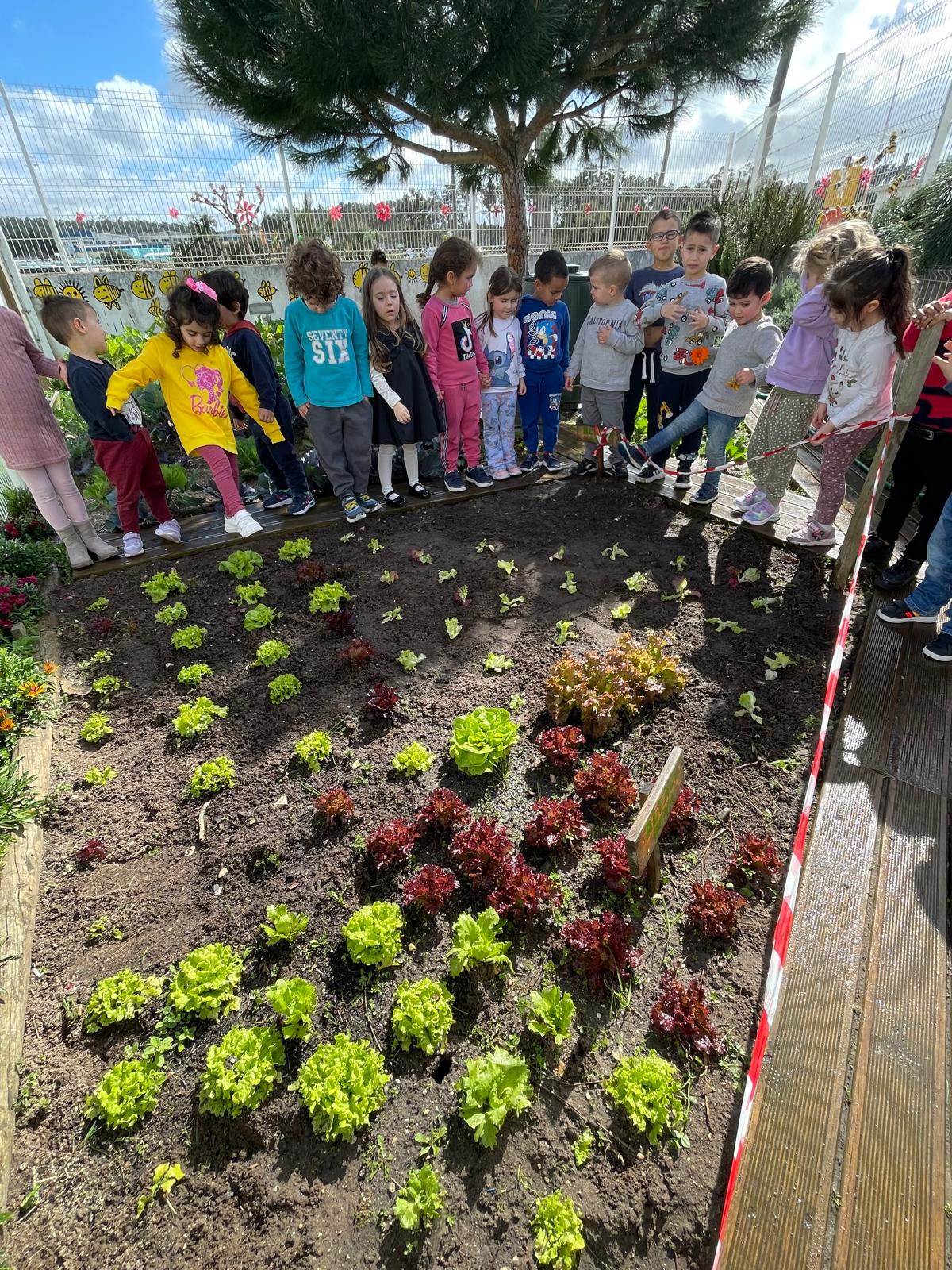 Aluno da educação pré-escolar a plantar legumes na Horta