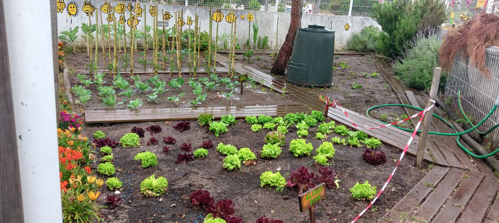 A horta limpinha com o compostor e o galinheiro
