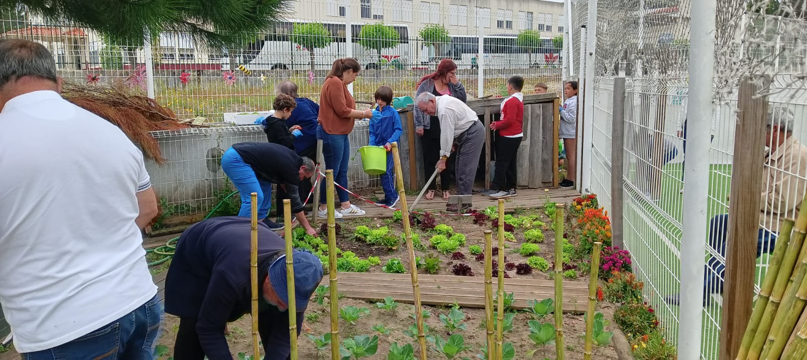 Regam a horta, arrancam as ervas e alimentam as galinhas.