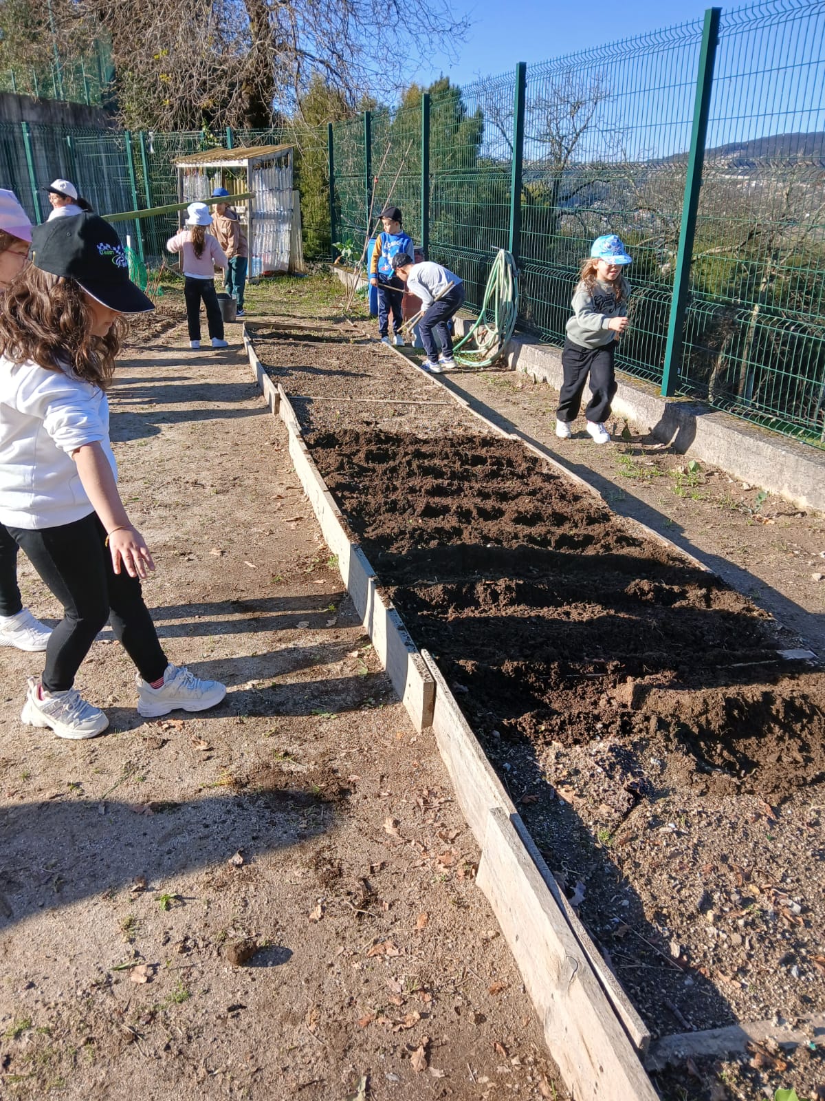 Os alunos trabalham na horta, preparam os canteiros para as sementeiras.