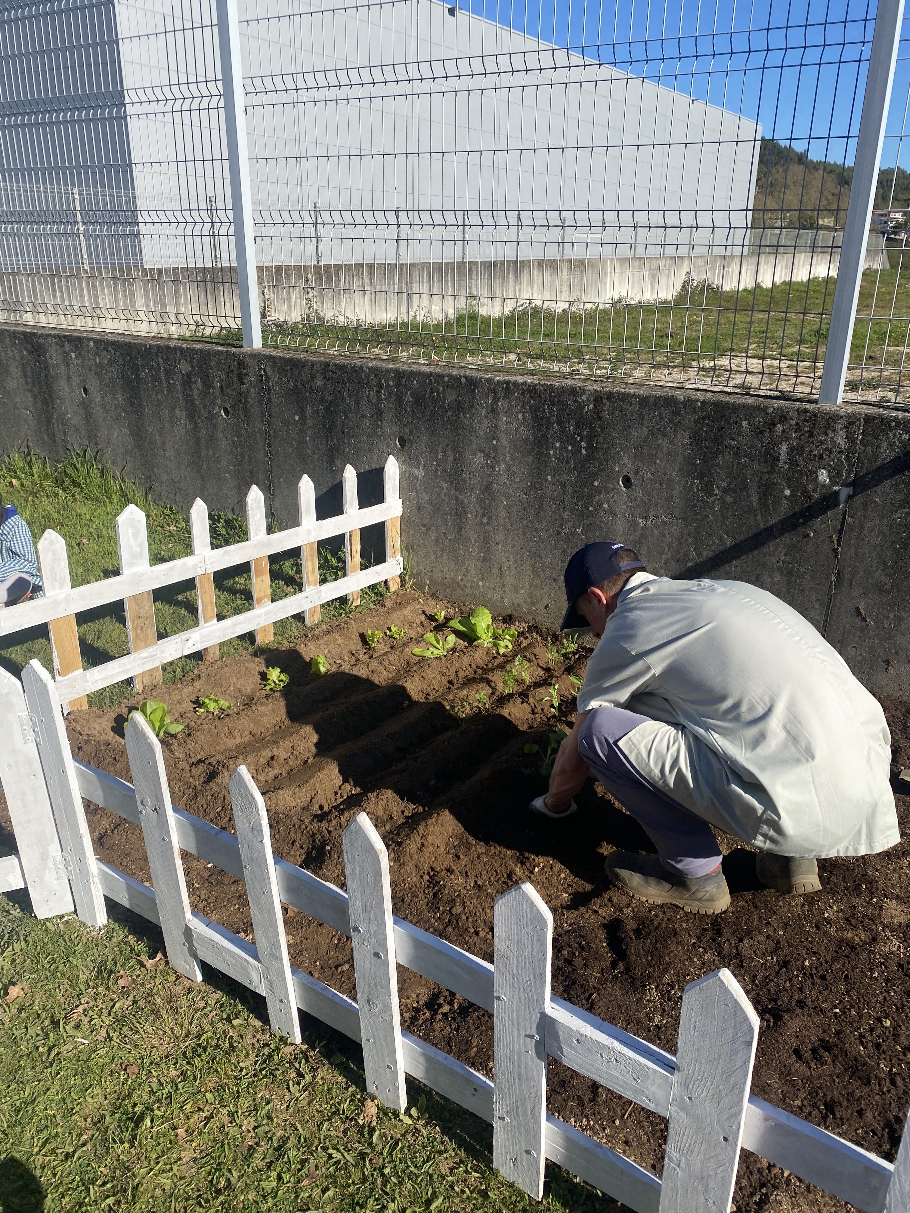 Preparação do terreno