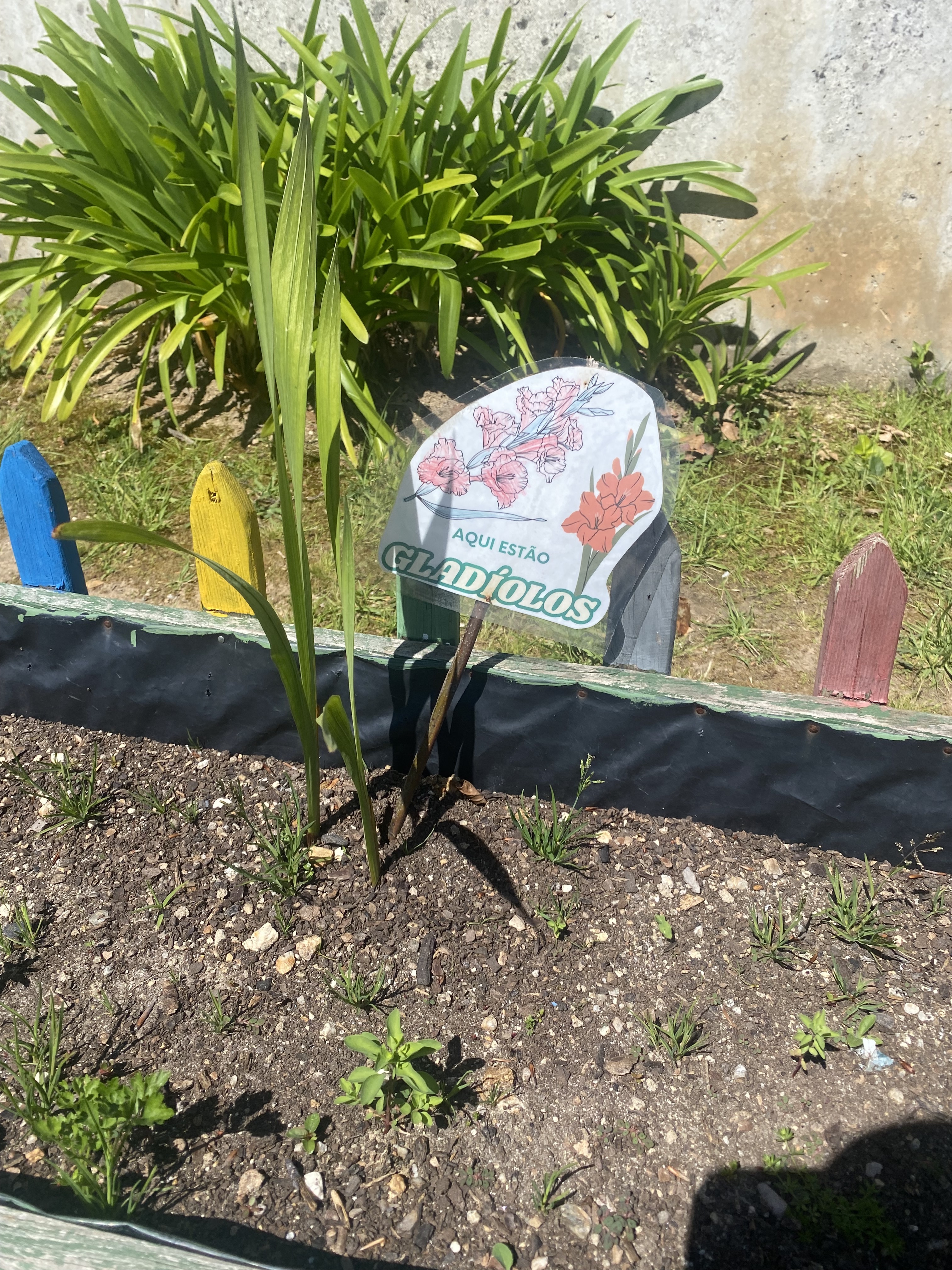 Recolha e manutenção