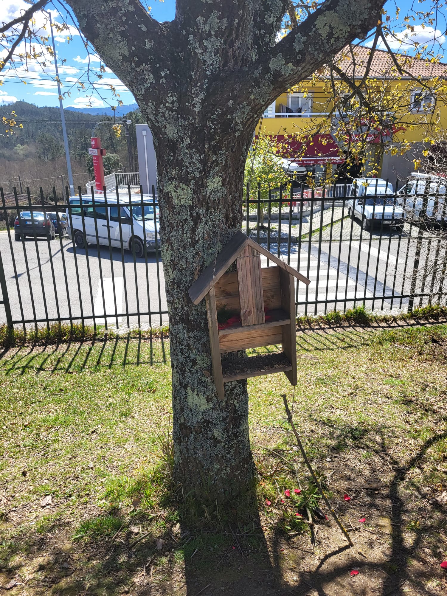 Hóteis polinizadores na escola.