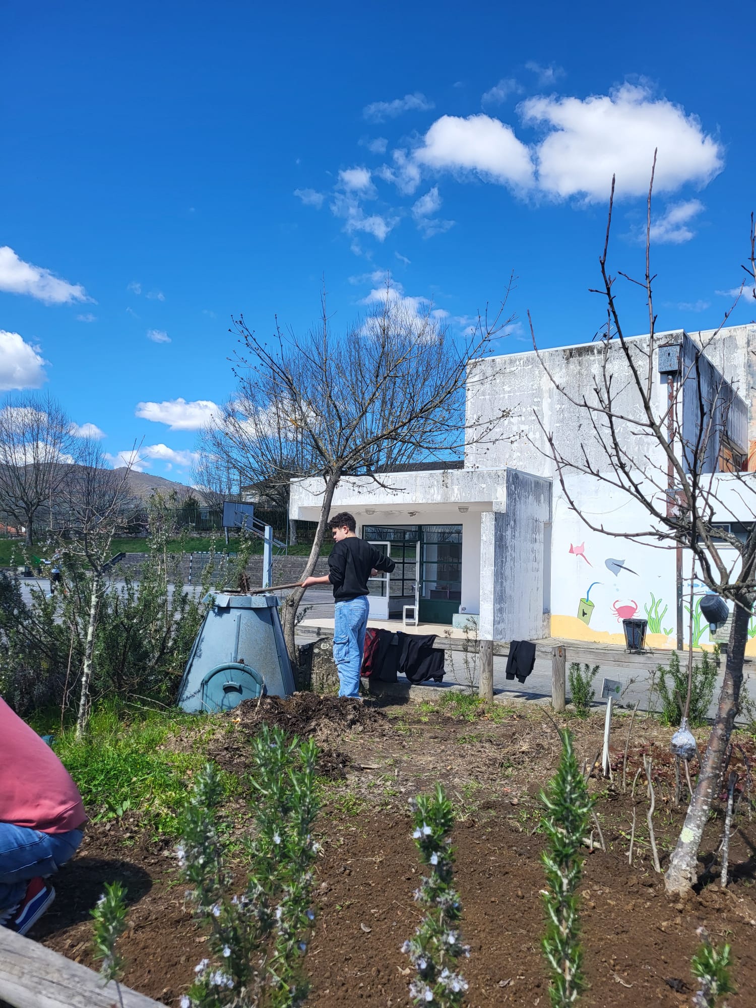 Compostagem na horta.