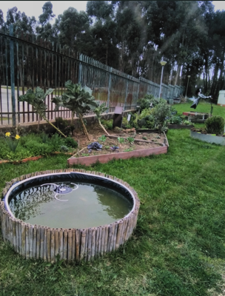 Aspeto da Horta / jardim dos polinizadores no inicio dos trabalhos de limpeza e plantio.