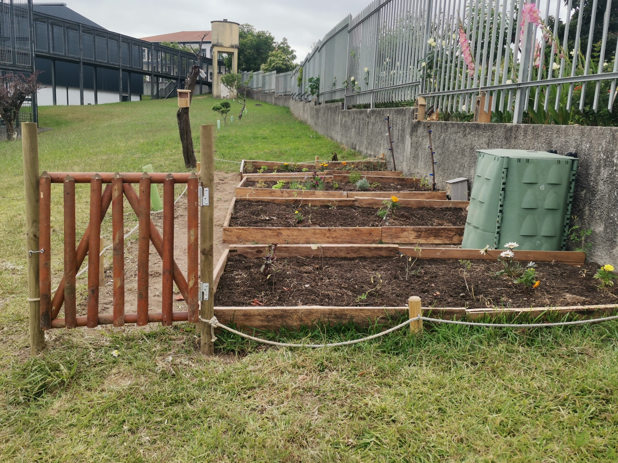 Aspeto da horta em Maio.