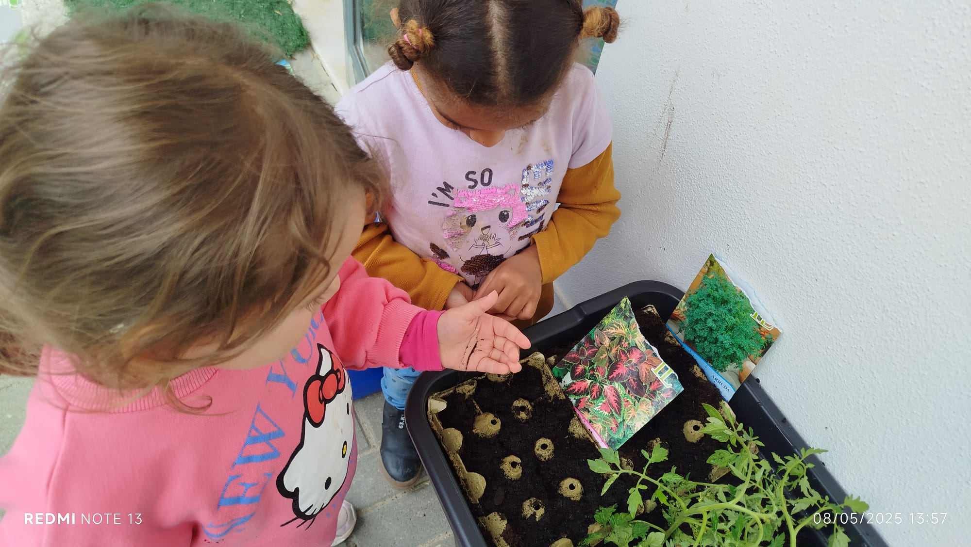 Semeamos plantas ornamentais e medicinais.