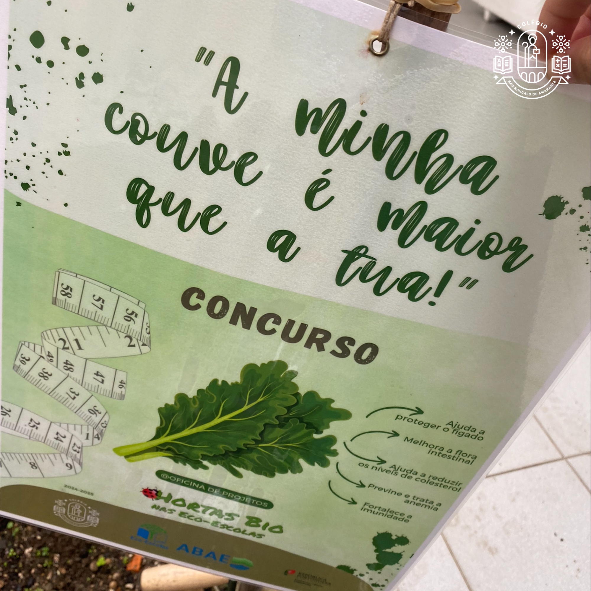 Concurso "A minha couve é maior que a tua"