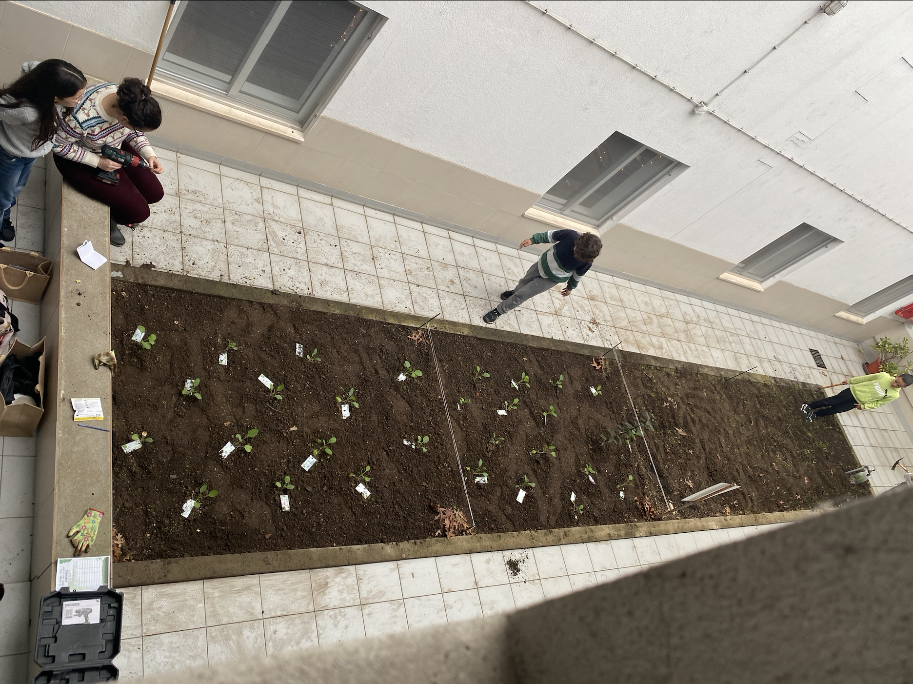 Vista geral da preparação dos talhões de cada turma - Hortas Bio nas Eco-Escolas
