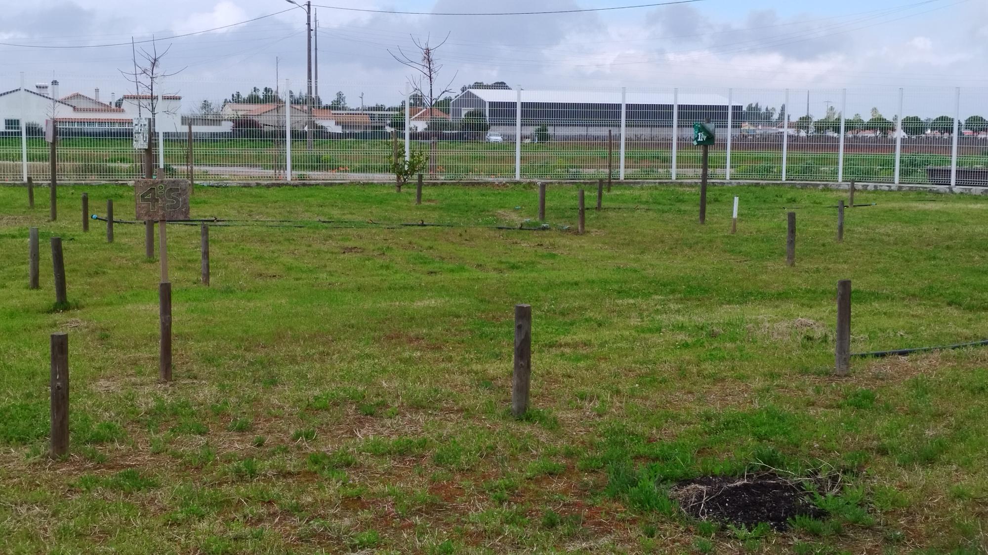 Foto representativa do espaço destinado à horta.