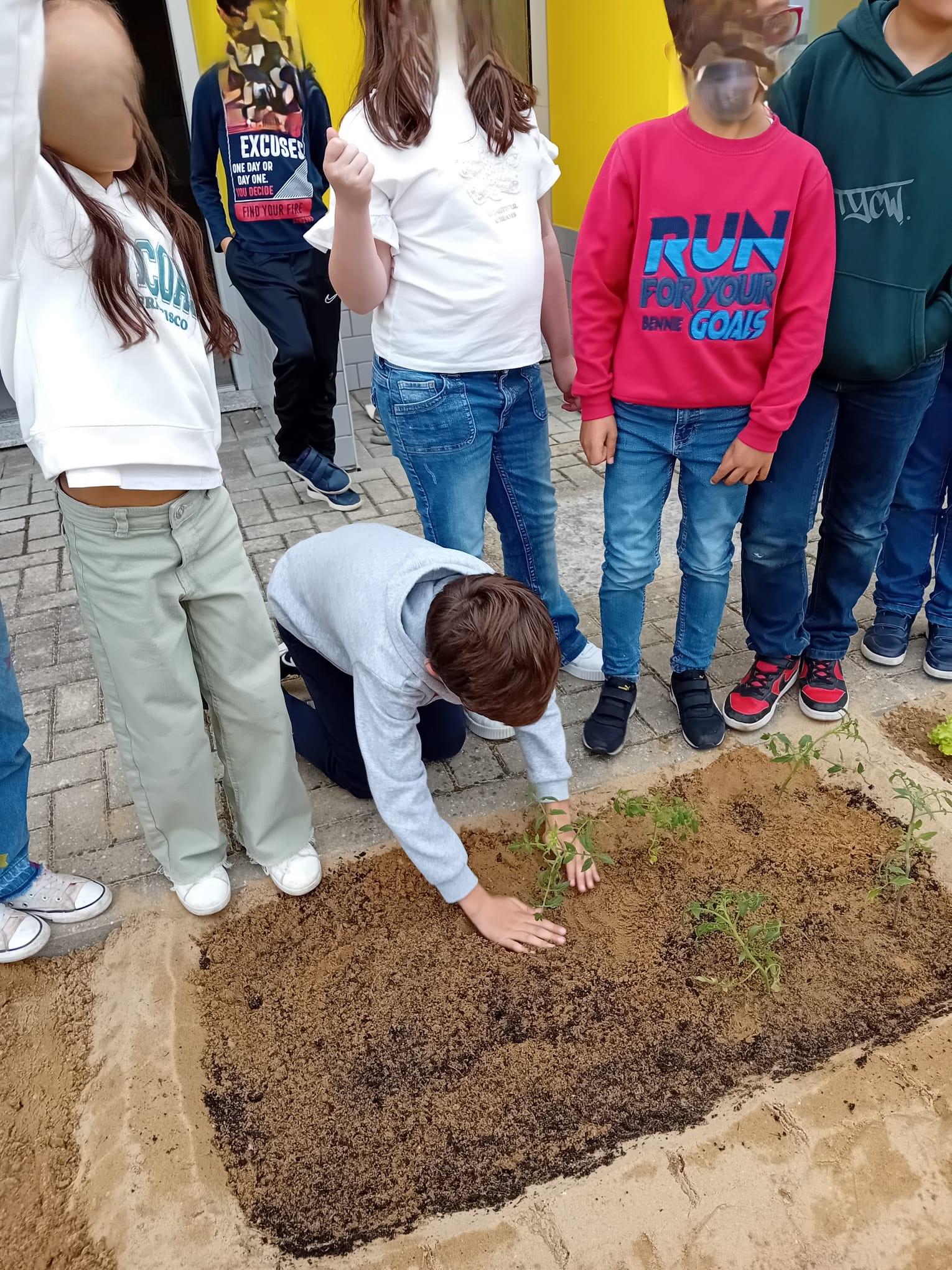 Aconchegaram a terra para que as plantas cresçam.