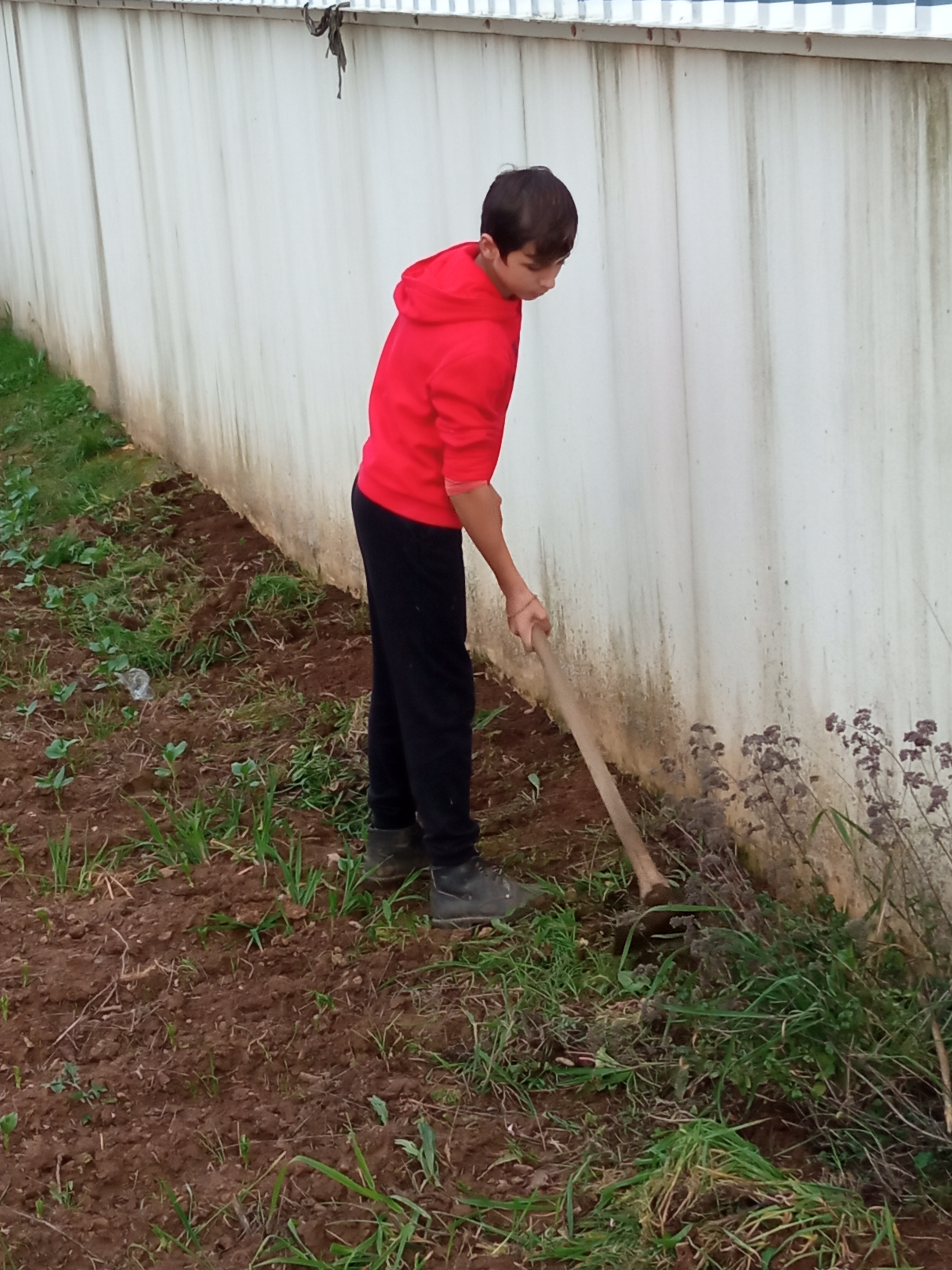 Raspagem ao redor da Horta