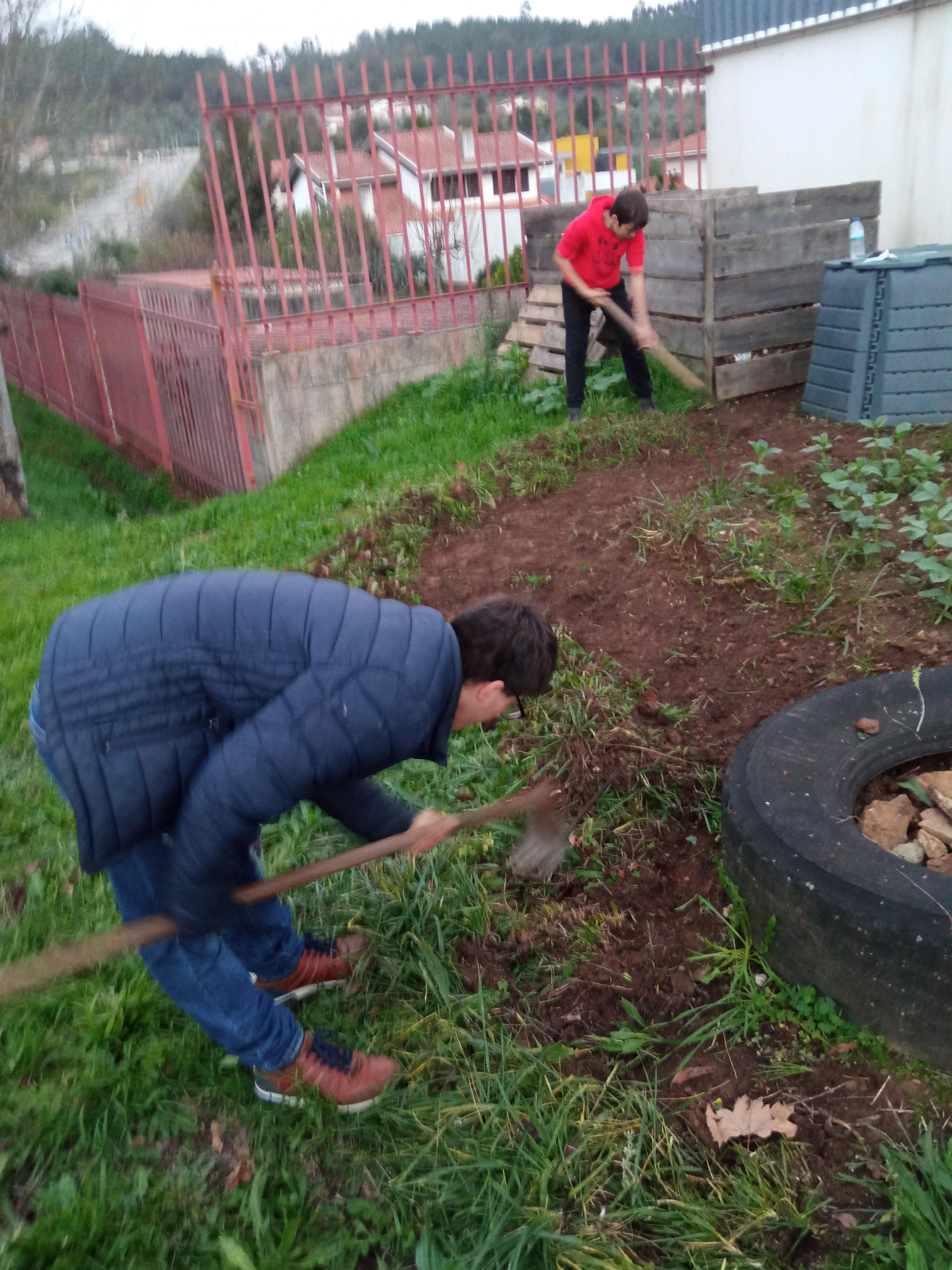 Raspagem à volta do faval.
