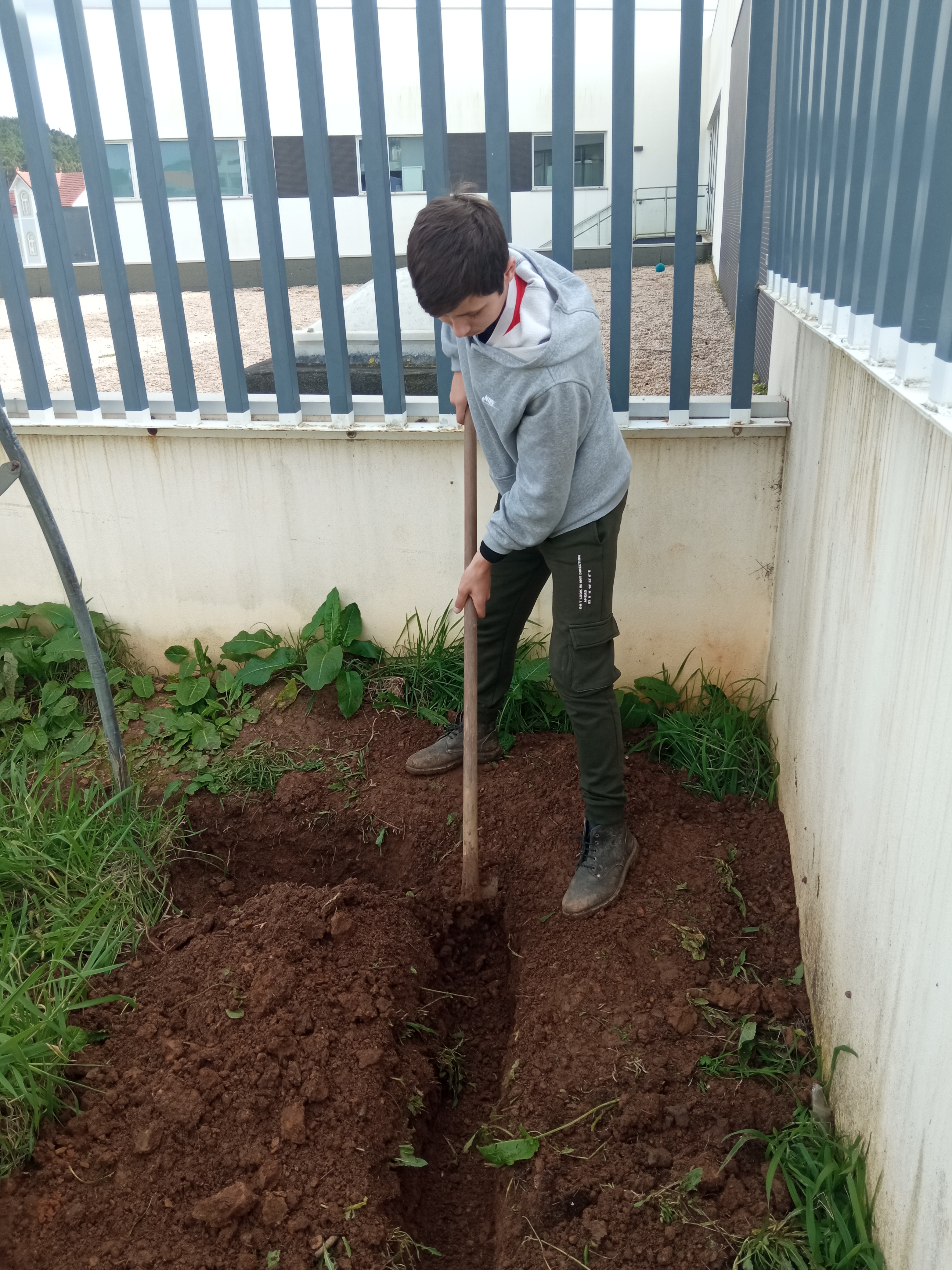 Abertura de vala para fixar a estrutura da estufa.