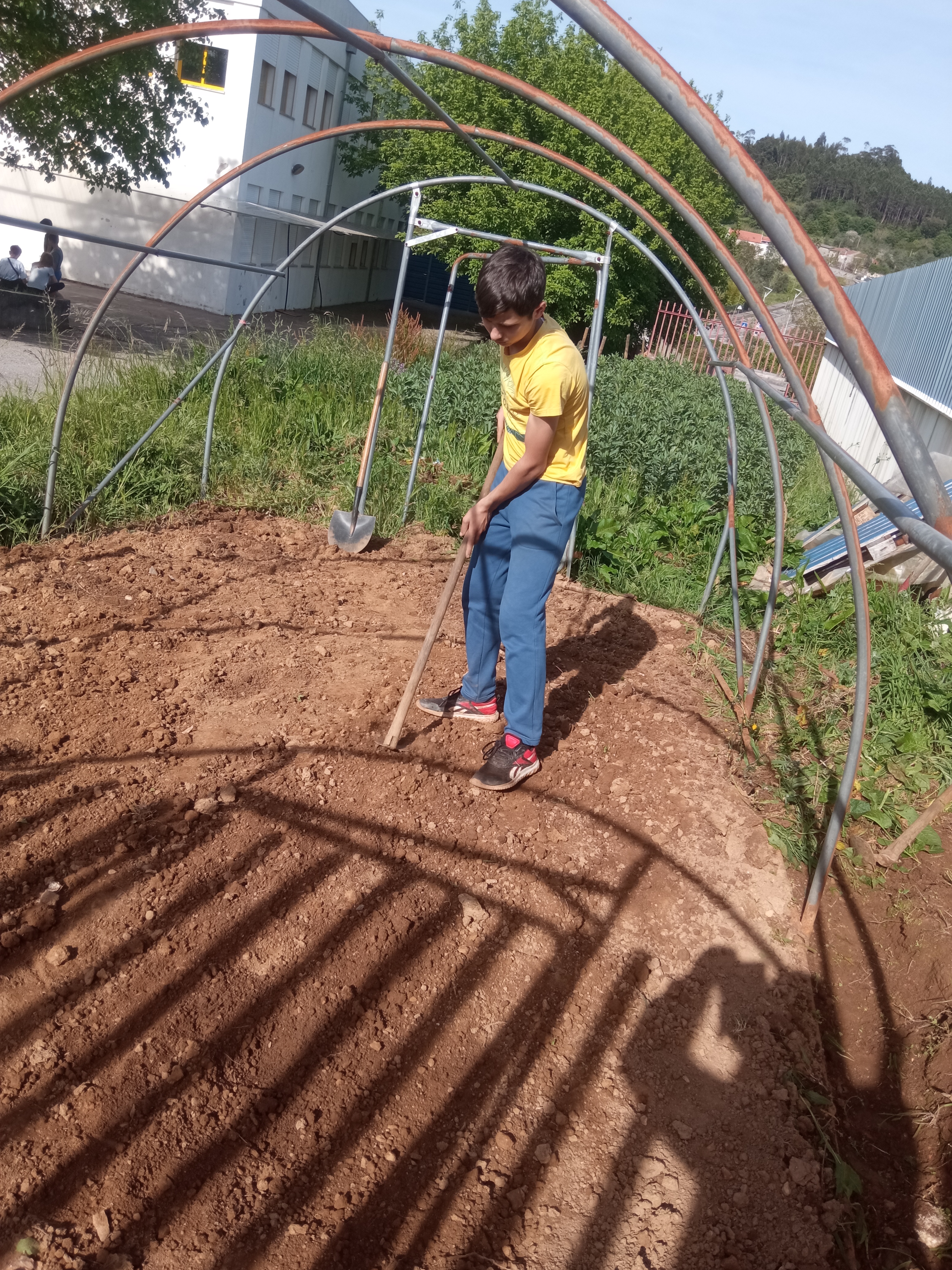 Alisamento do terreno da estufa